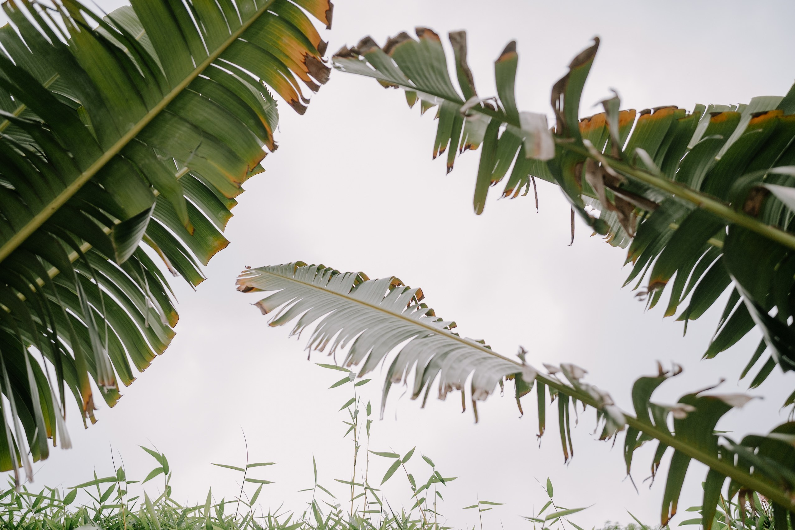 Sahithya & Kavin. Agam Vizha