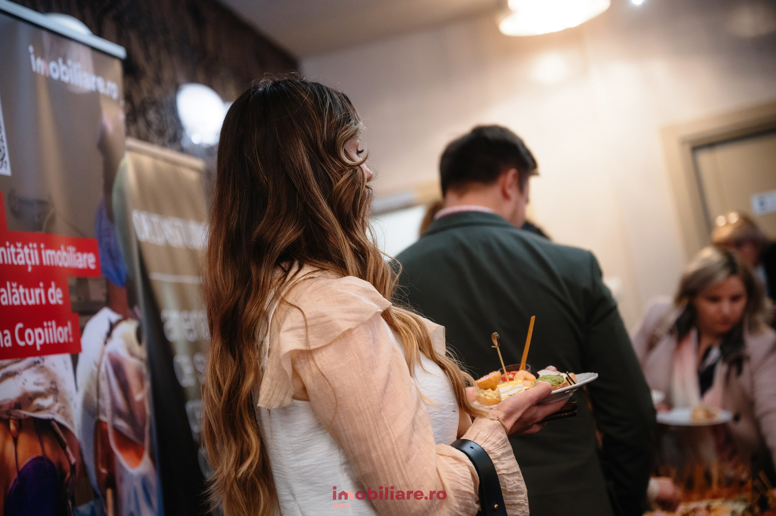 Imobliare HUB. Laurentiu Stefan StoryTeller