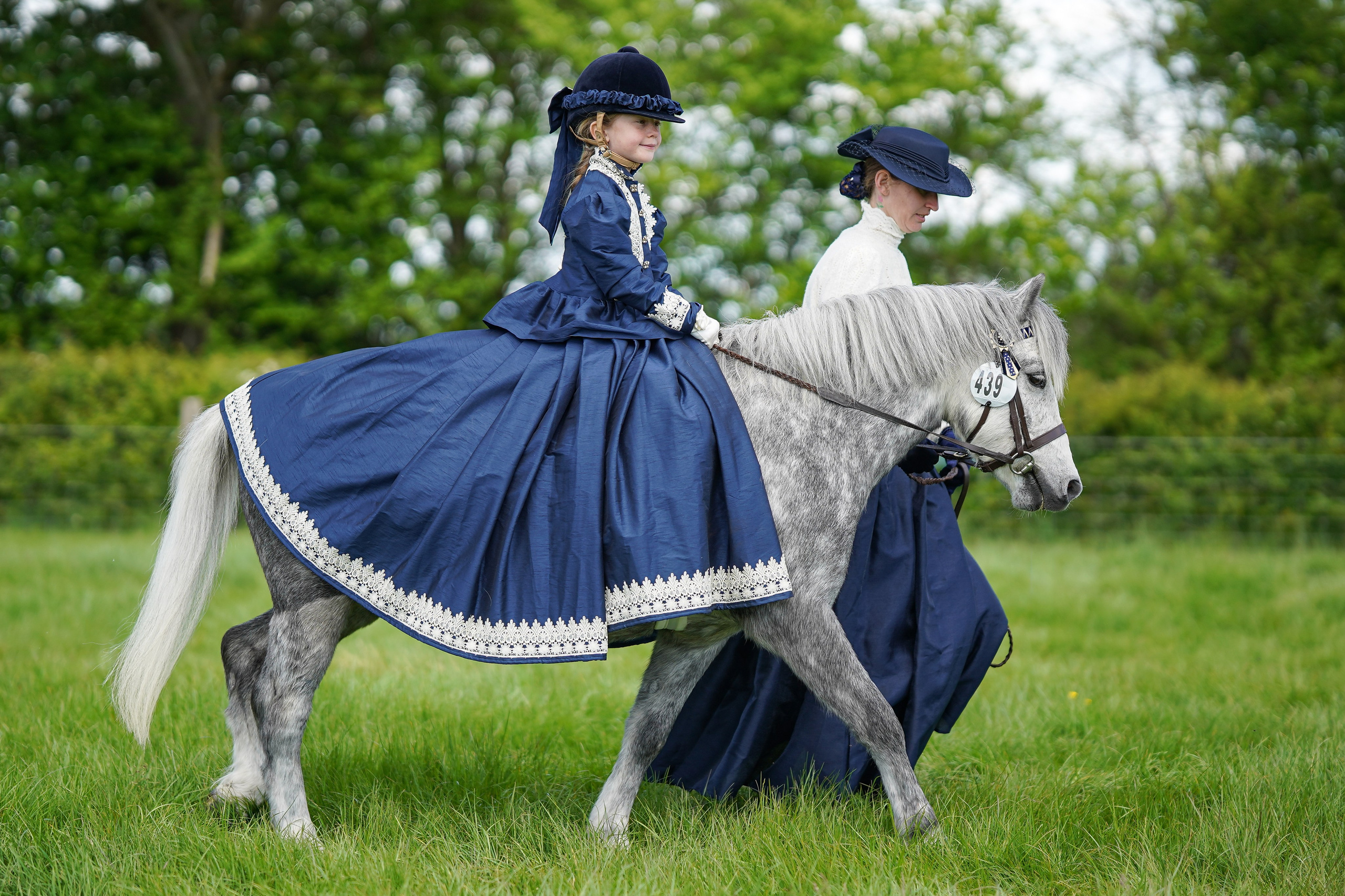 Showing. Leicestershire Equine Photography by El | Authentic Equine Portraits & Events