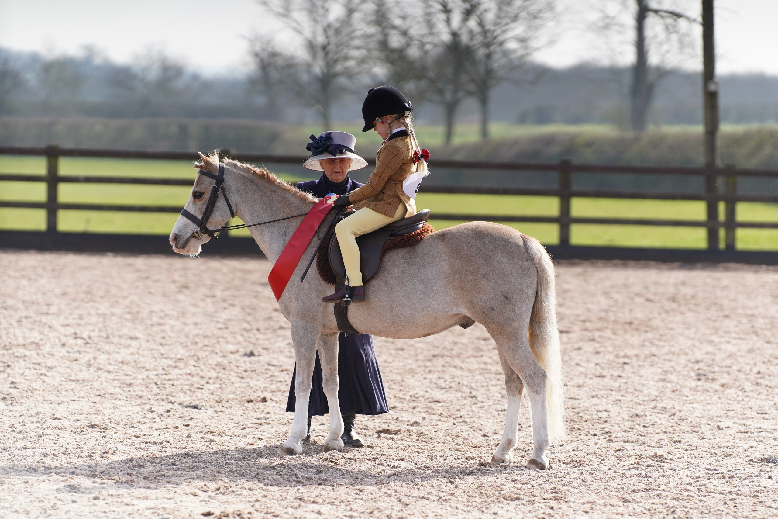 Showing. Leicestershire Equine Photography by El | Authentic Equine Portraits & Events