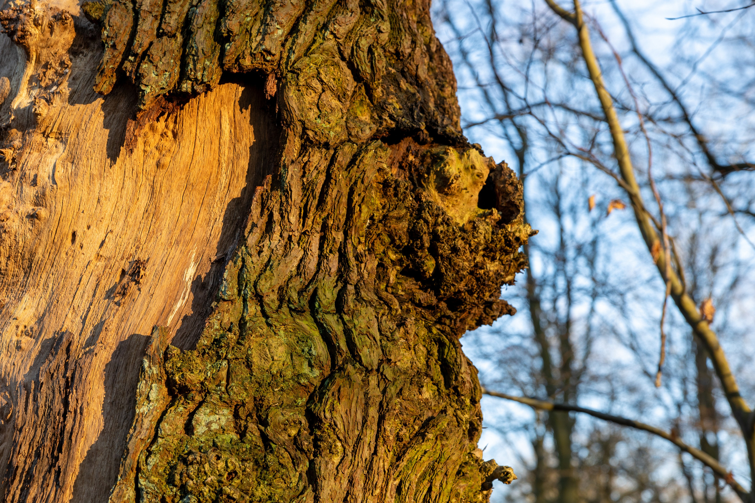 Forår. Fotograf Aarhus | Portrætfoto Århus | Flotte billeder