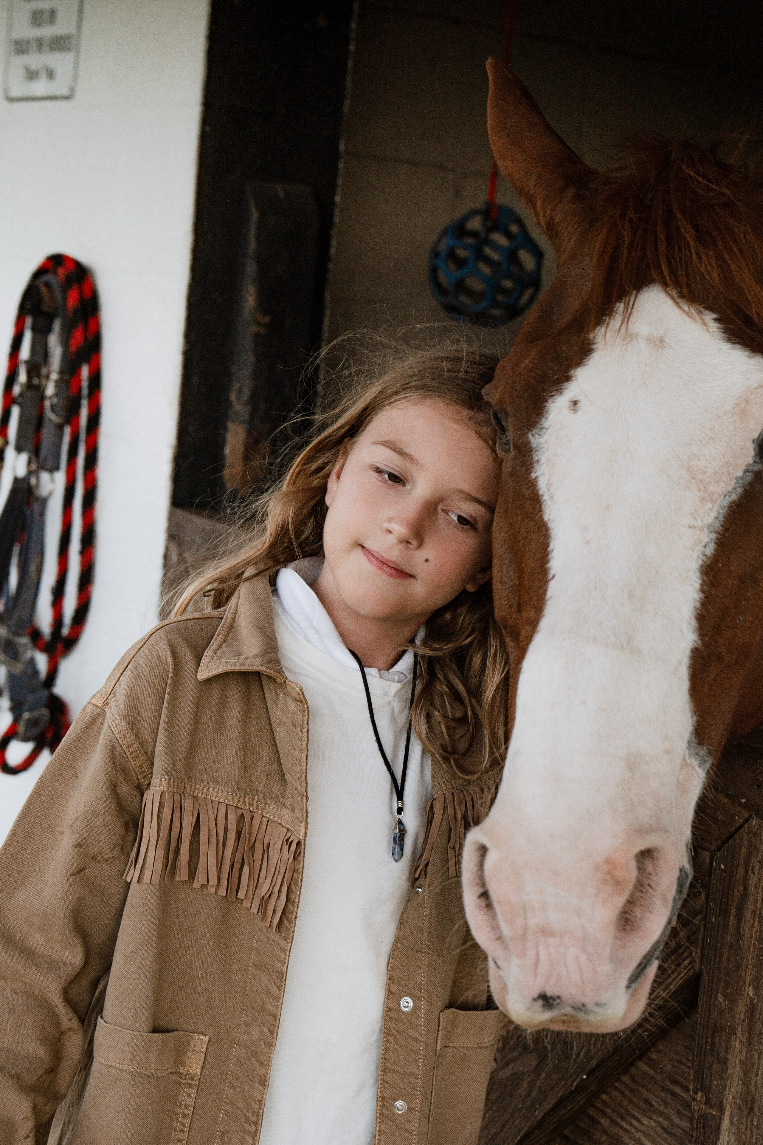 Stables Sessions. Https://the-photo-way.wfolio.pro