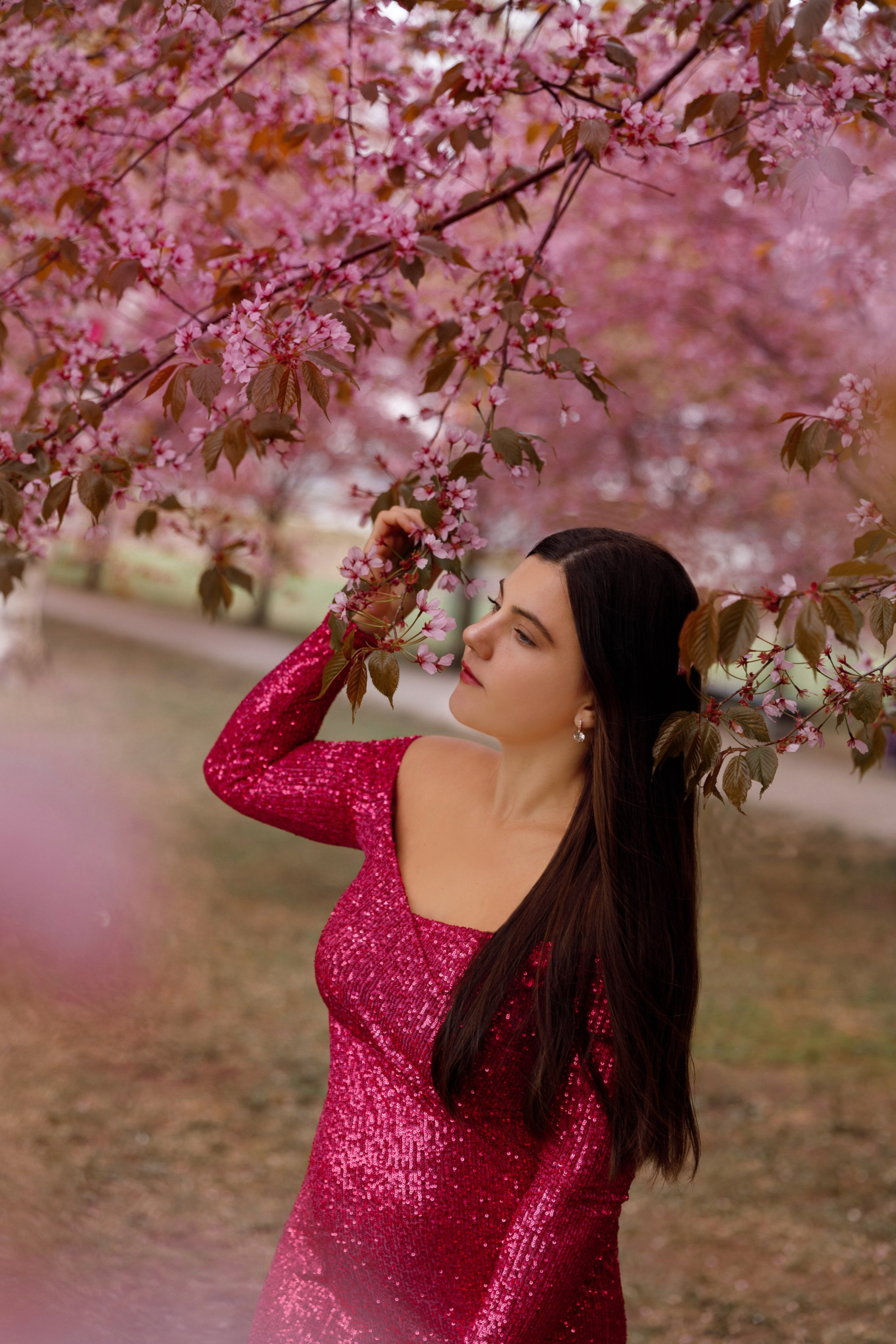 SPRING. Silvia Stamati Photography Helsinki