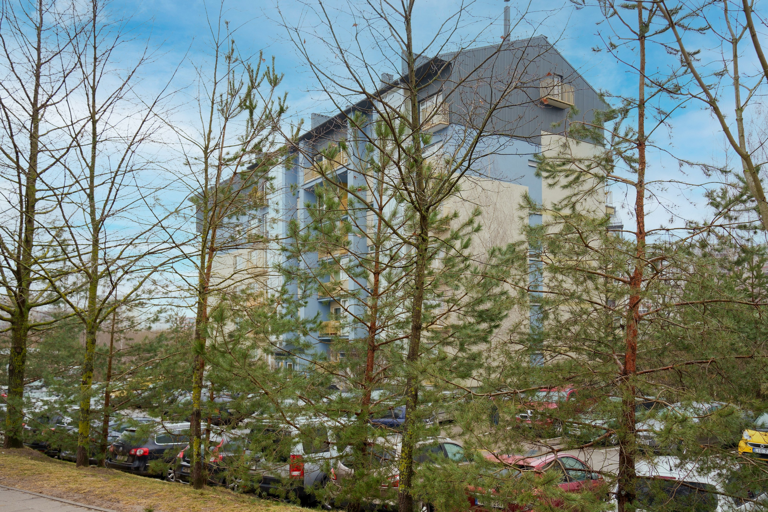 Ukmergės 306A. Elina Sapiega fotografė Vilniuje