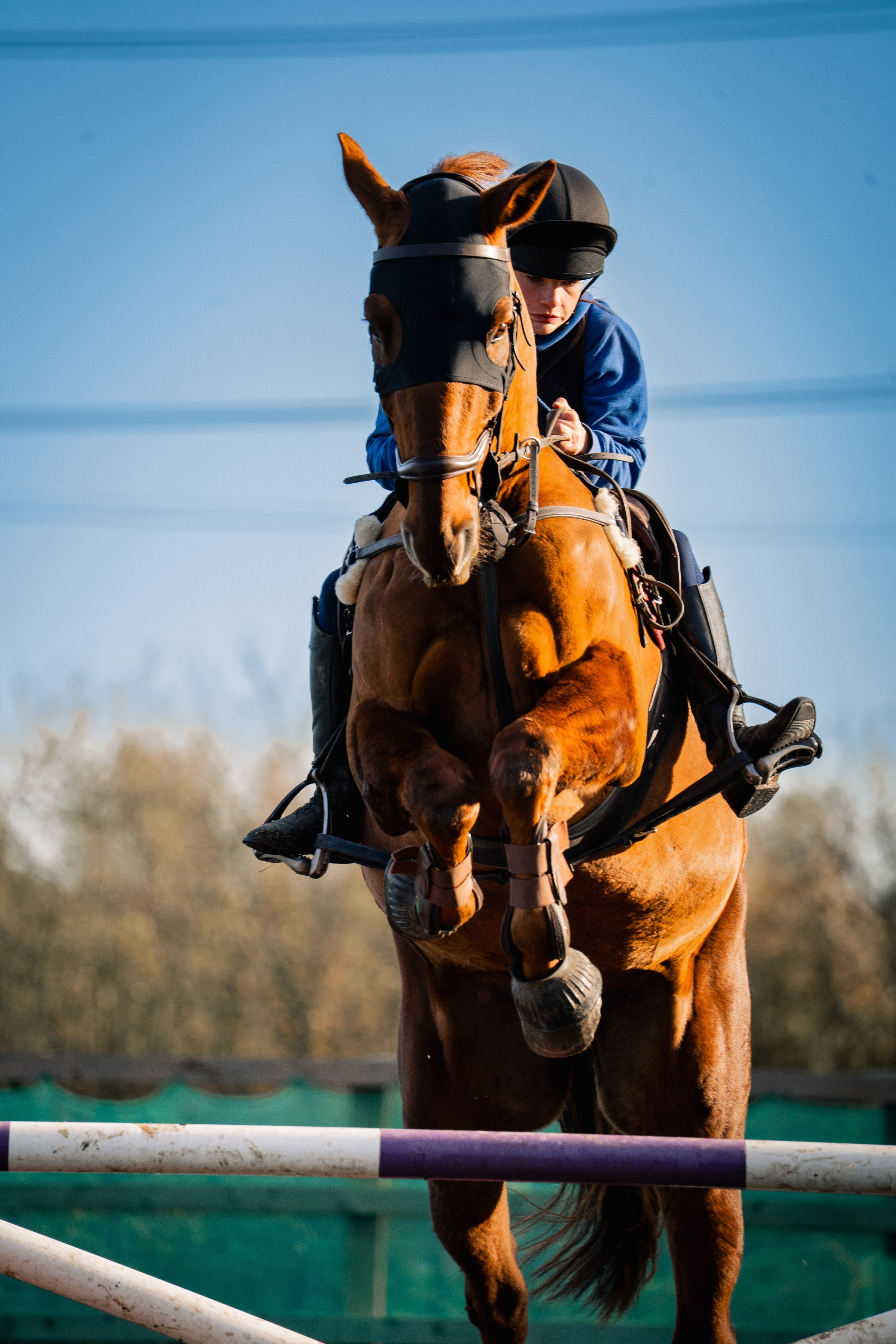 Equestrian. Ryan Hewitt Photographer