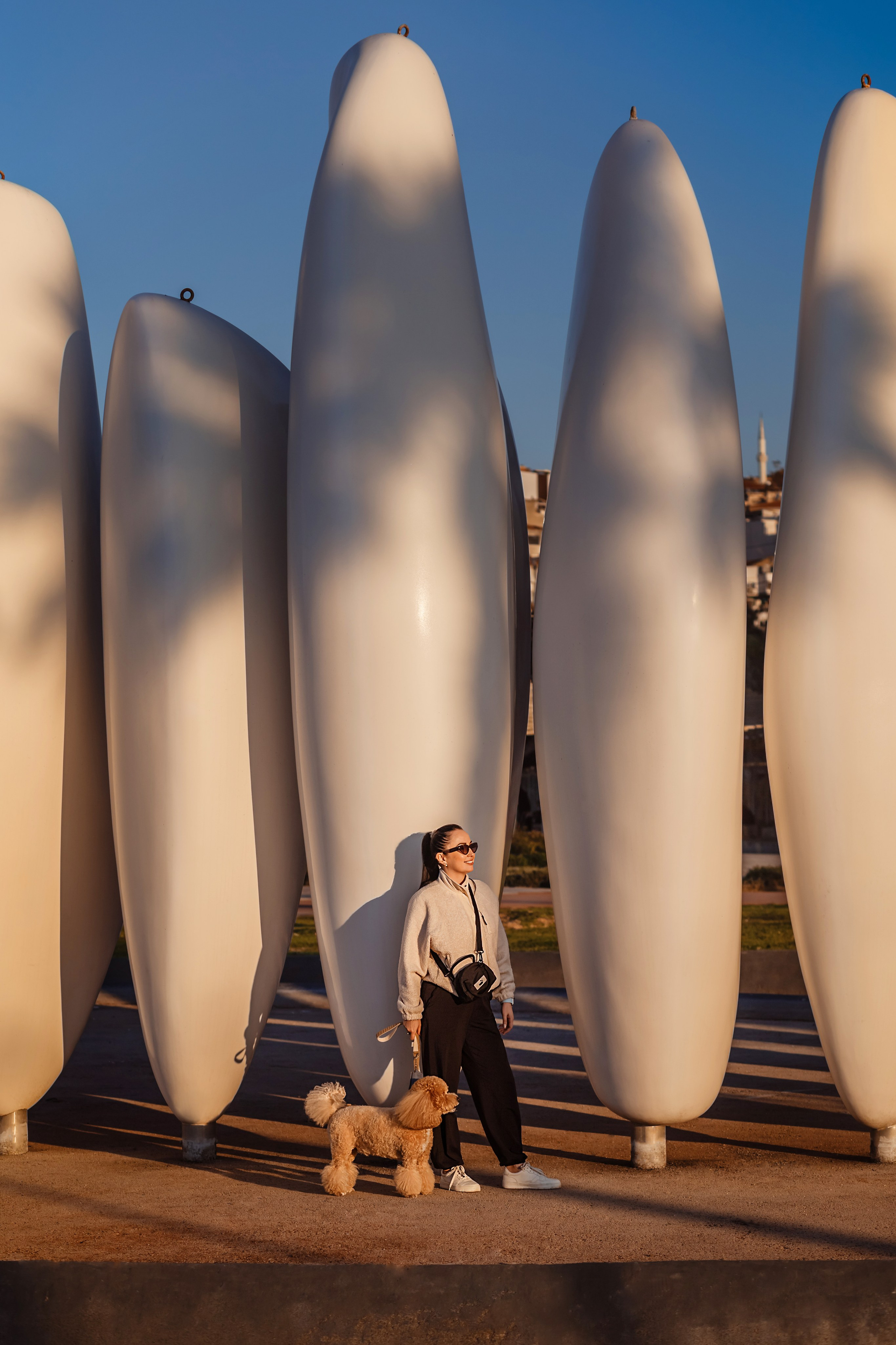 Фотосессия с собакой