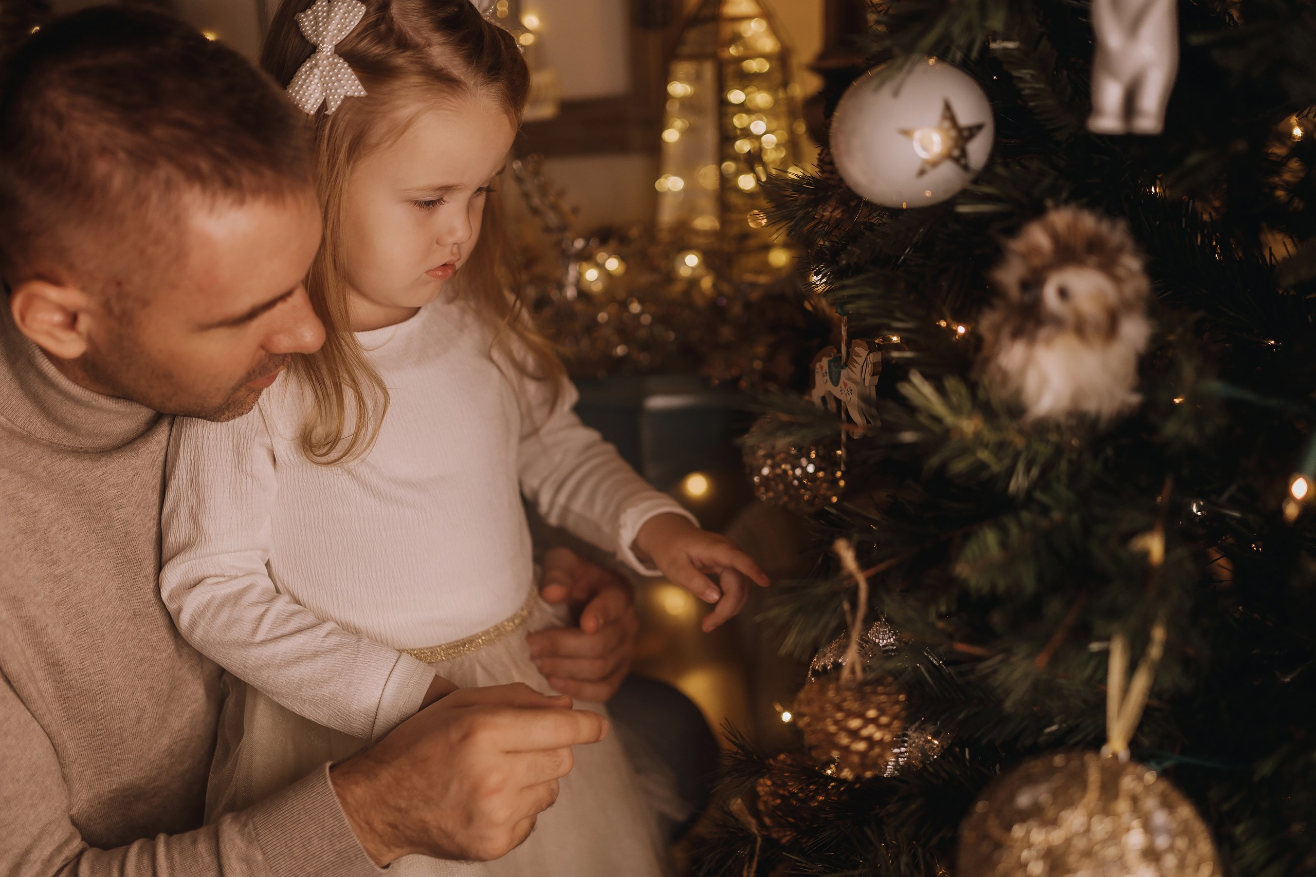 25.11.2023 Christmas Photoshoot. Wedding family event photographer in Chicago Nick Yushevich