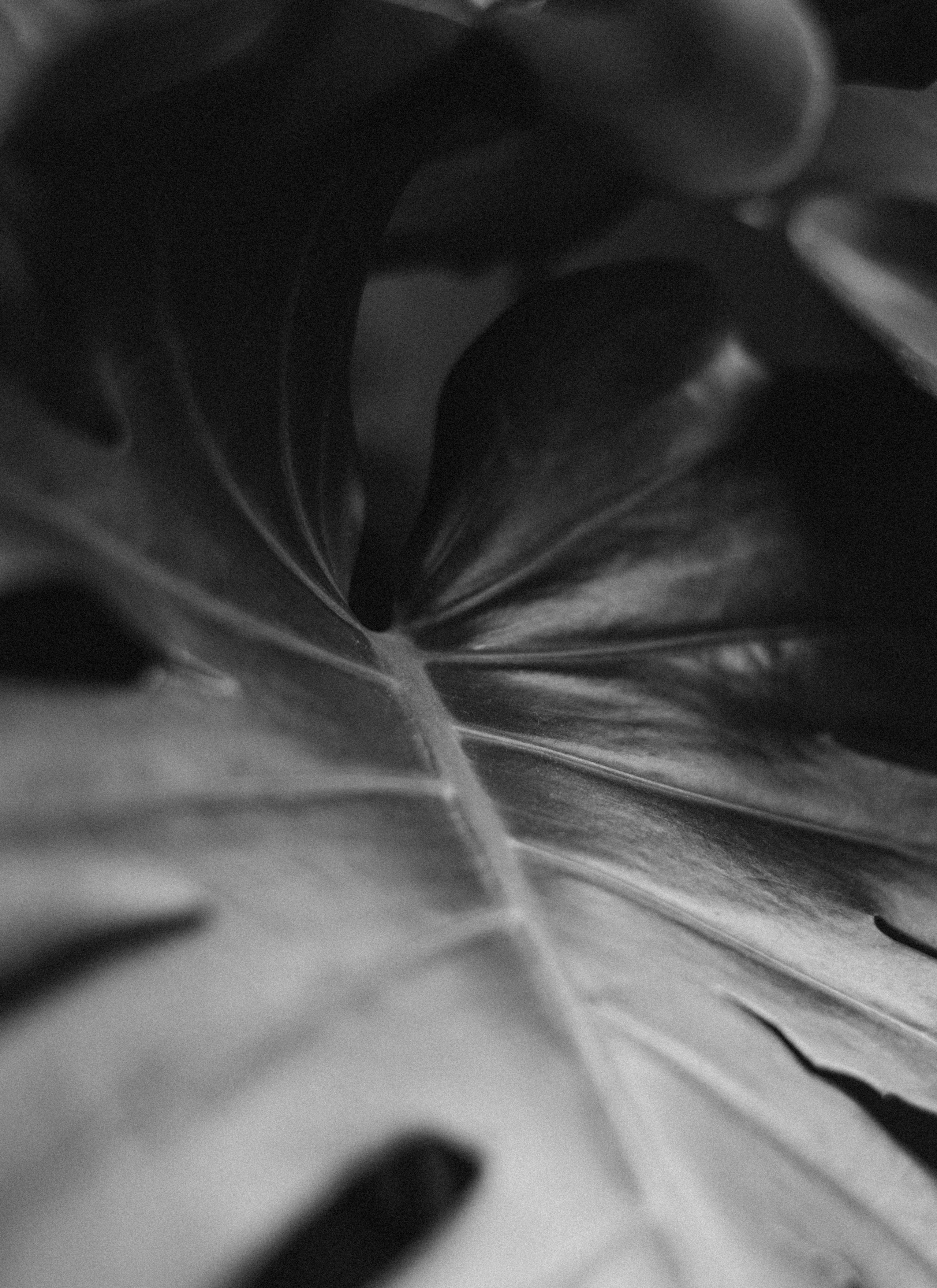 CAFE DEL PHOTO #96 «На грани». Школа Фотографии Романа Рыбалёва. Город Кишинёв, Молдова