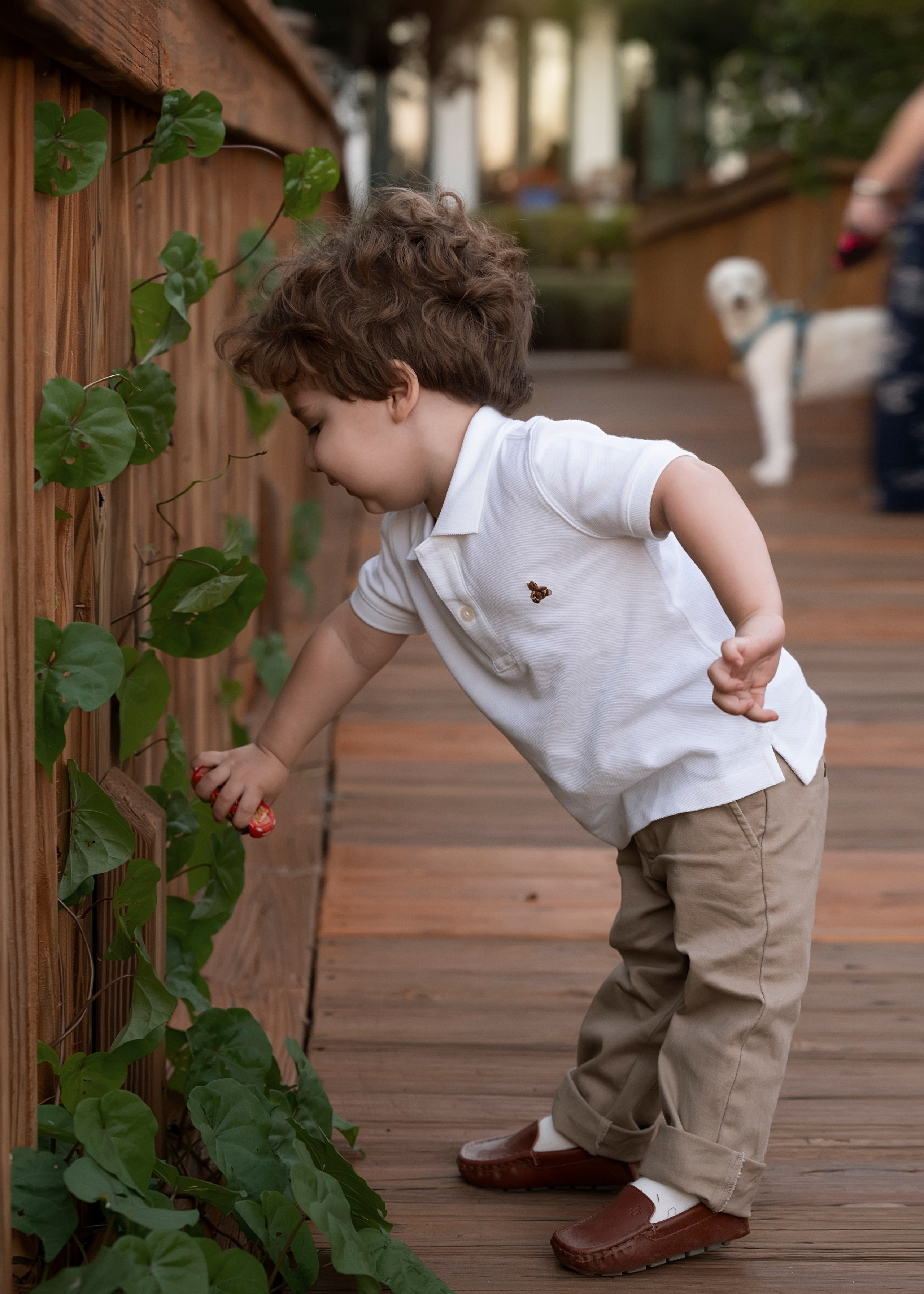 Family session outside. Portrait, kids and family photographer in Wesley Chapel Alina Alice Osipova