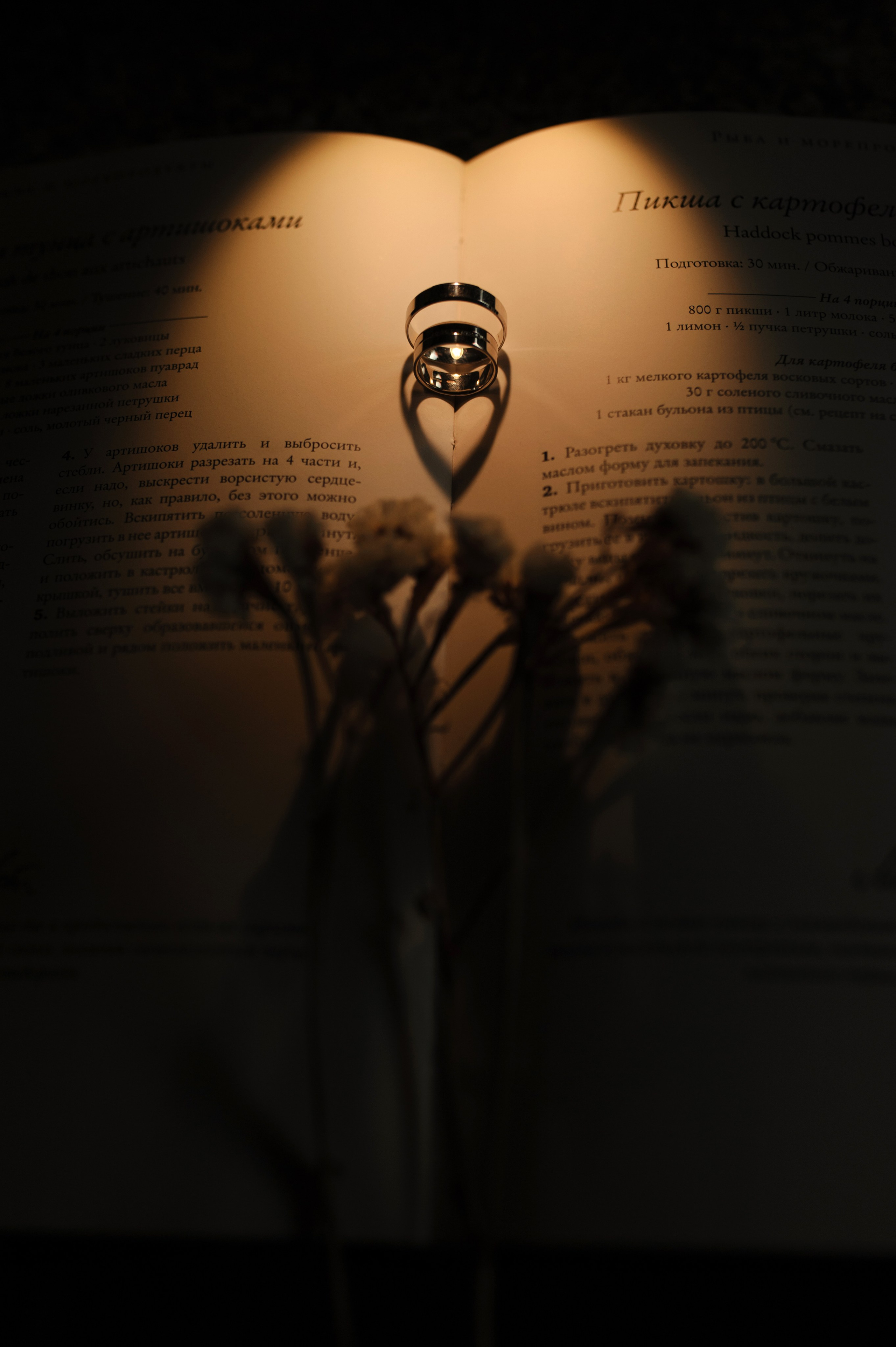 Diana & Andrii. Familien- und Hochzeitsfotografin. Ich arbeite in Koblenz und Rheinlan