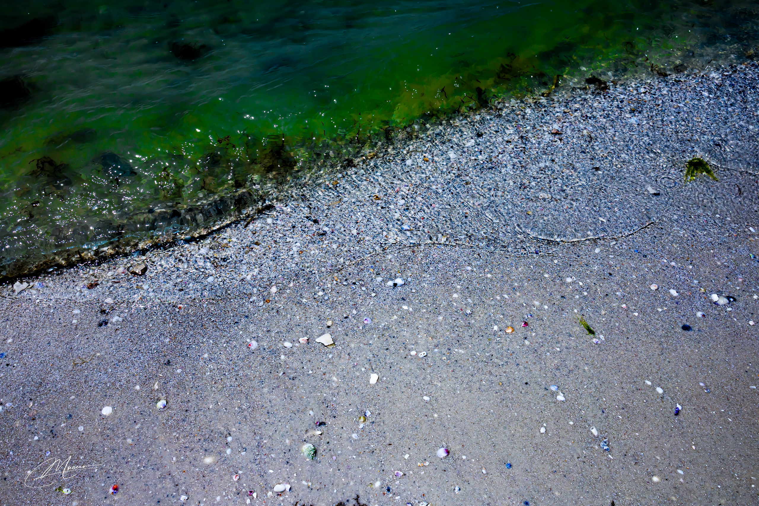 Florida Man — Fort Myers Walkabout. Out and About 239