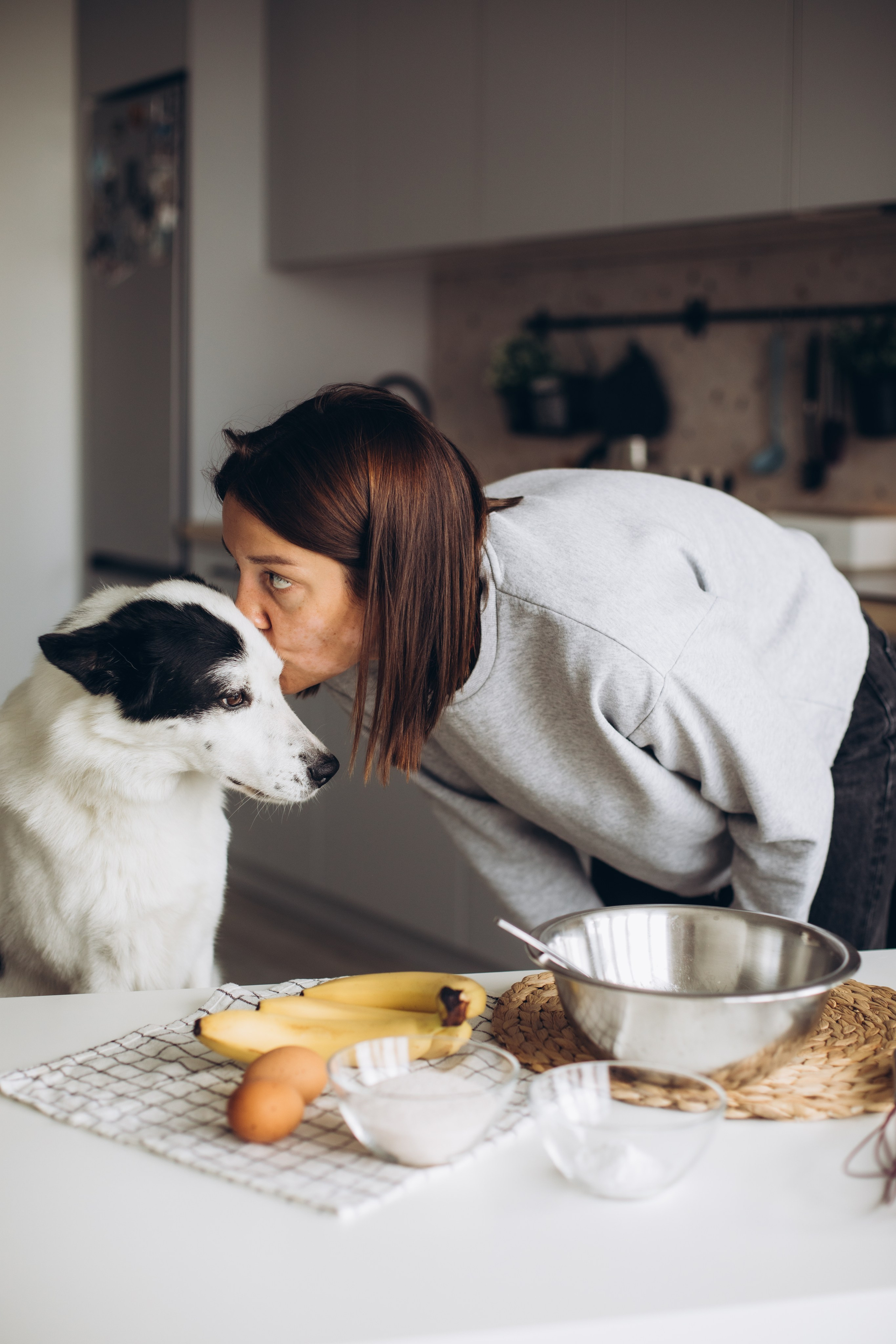 Kate&Tesla. Семейный фотограф в Кишинёве Пулькина Ольга