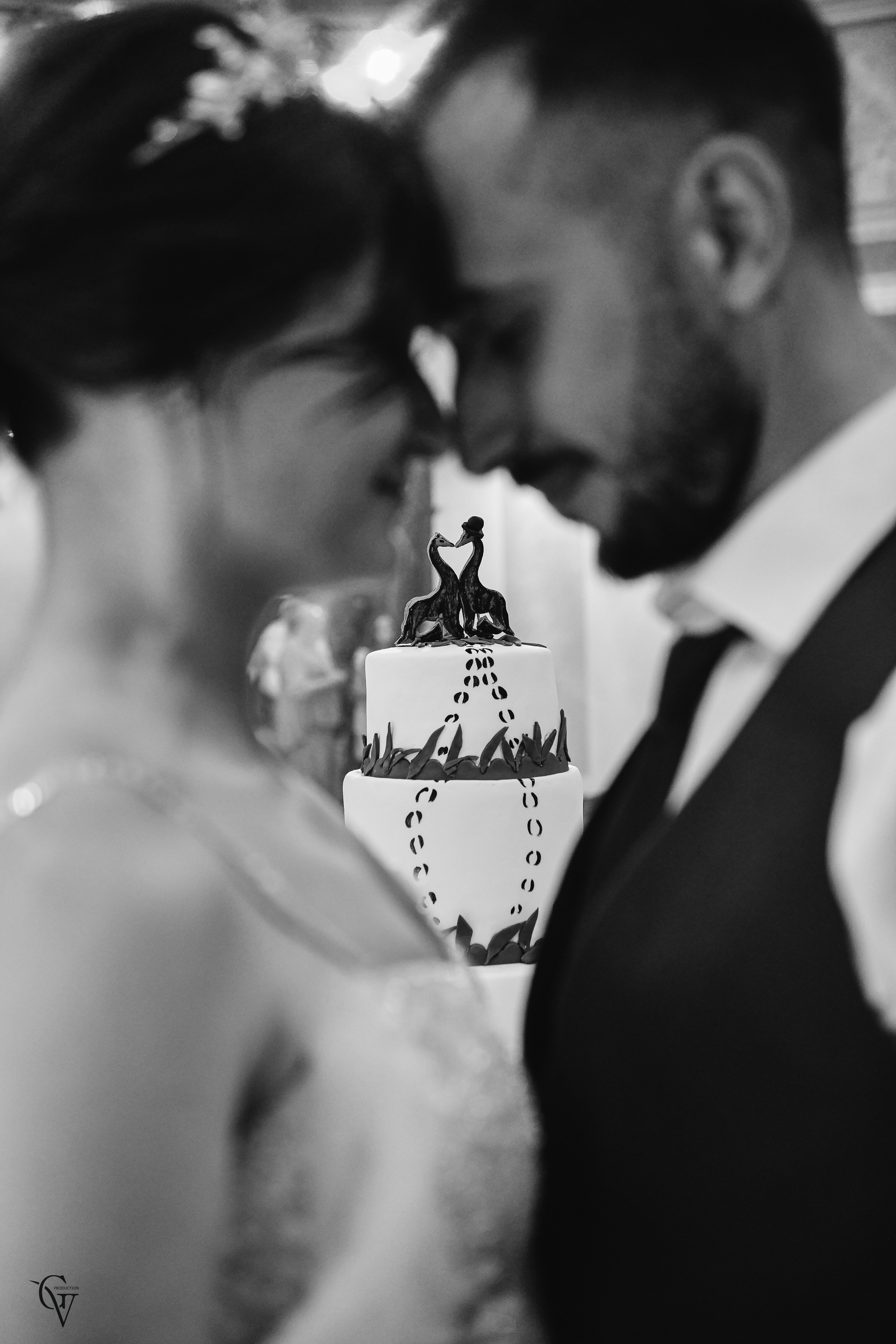 Vahe & Irma. Wedding photos and video shooting in Armenia and all over the world!!! Photographer in Yerevan