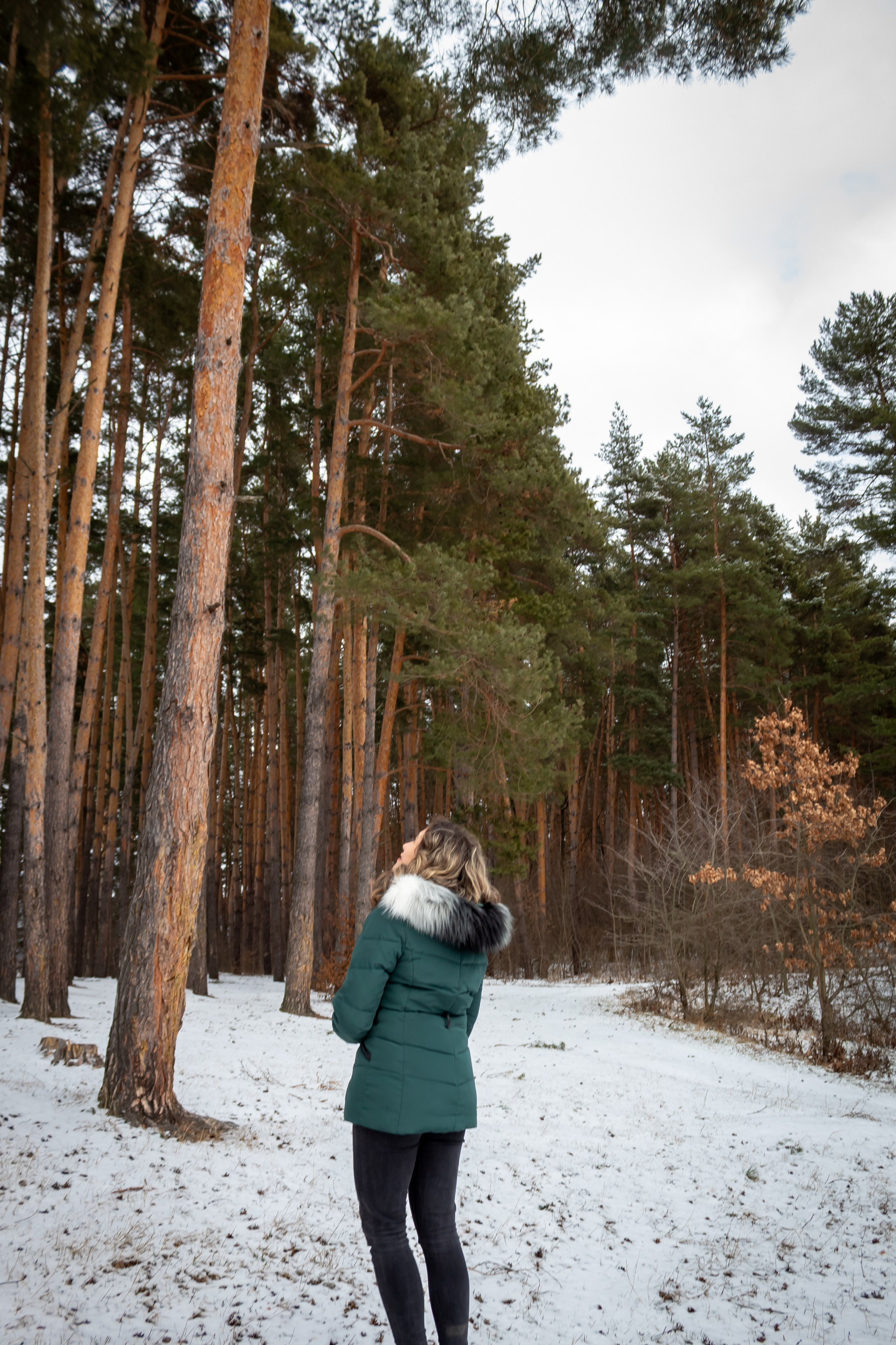 Woman walking down a pine tree path in soft morning light, seen from behind.