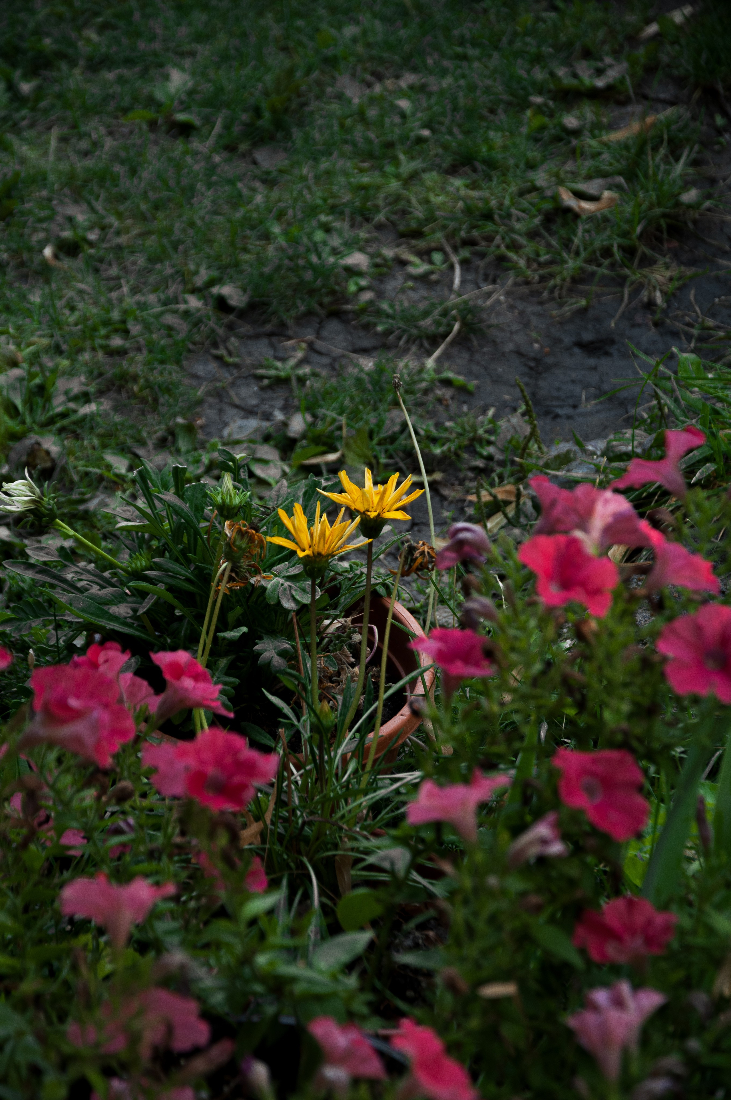 Sothie Baptize. Дизайнер и Фотограф в Кишинёве Бусуйок Станислав