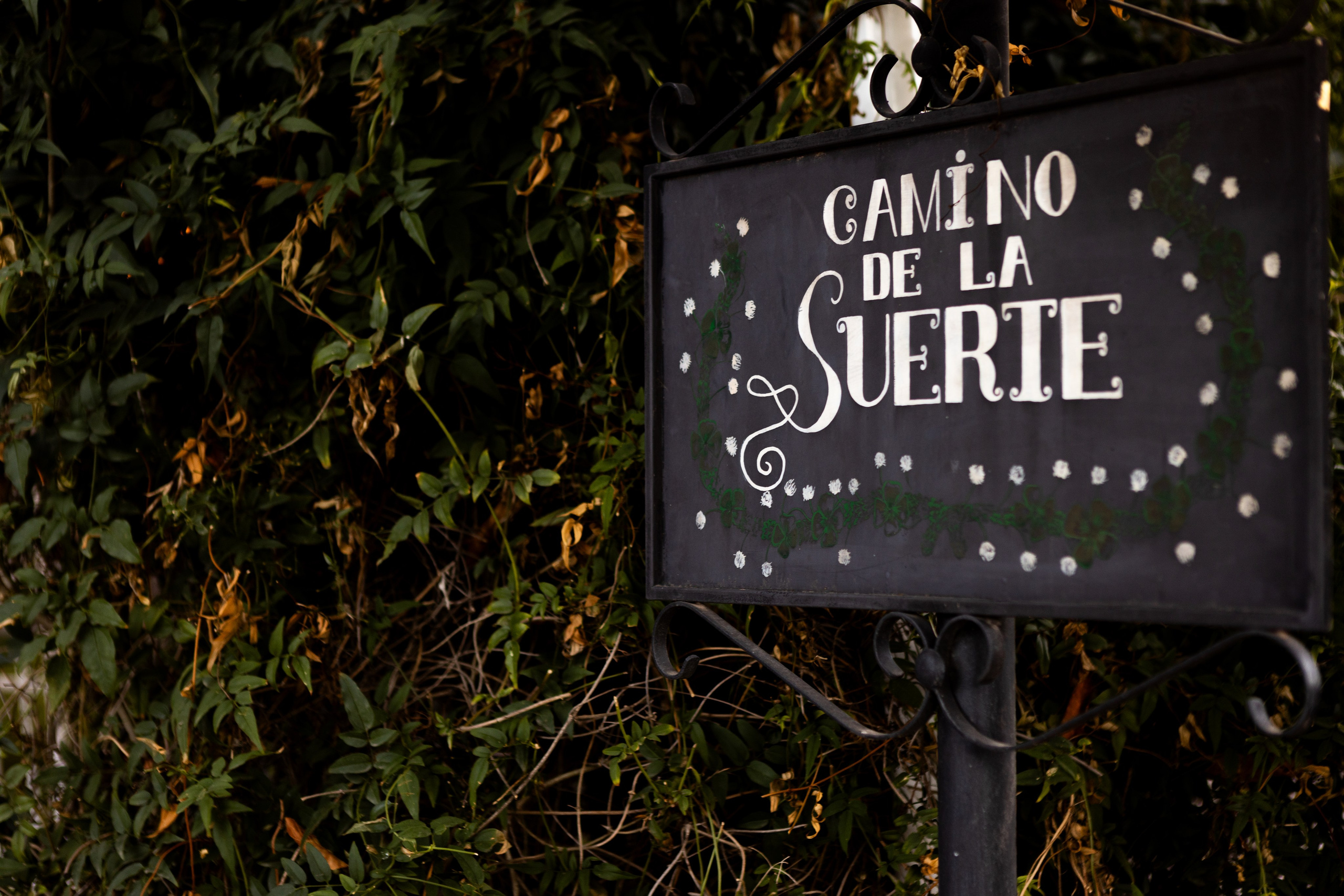 Wedding Valencia. Фотограф в Испании, Валенсия