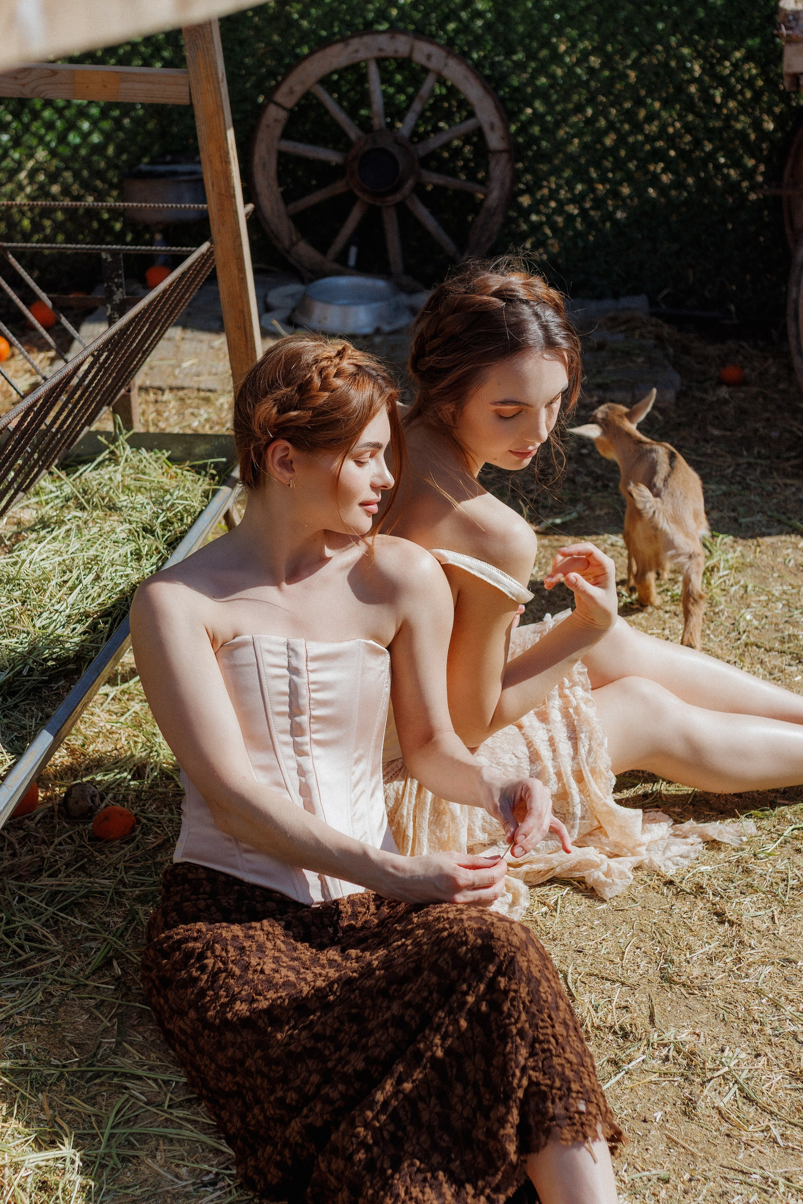Девушки с козами. Фотосессия с козами. Красивые девушки с животными. Девушка держит козу. Фотосессия в деревенском стиле. Фотосессия с животными. Фотосессия с козочками. Фотосессия в стиле эко. Деревенская фотосессия. Козы и девушки — фото. Нежные фото с козами. Фото с козами. Пасторальная фотосессия. Весенняя фотосессия с животными. Фотосессия в деревне. Фотосессия в Анталии. Фотосессия в Турции с животными. Сельская фотосессия в Кемере.Kemer Butiq garden. Локации в Кемере. красивые Локации в Кемере.Локации в Кемере для фотосессии. Локации в Кемере 