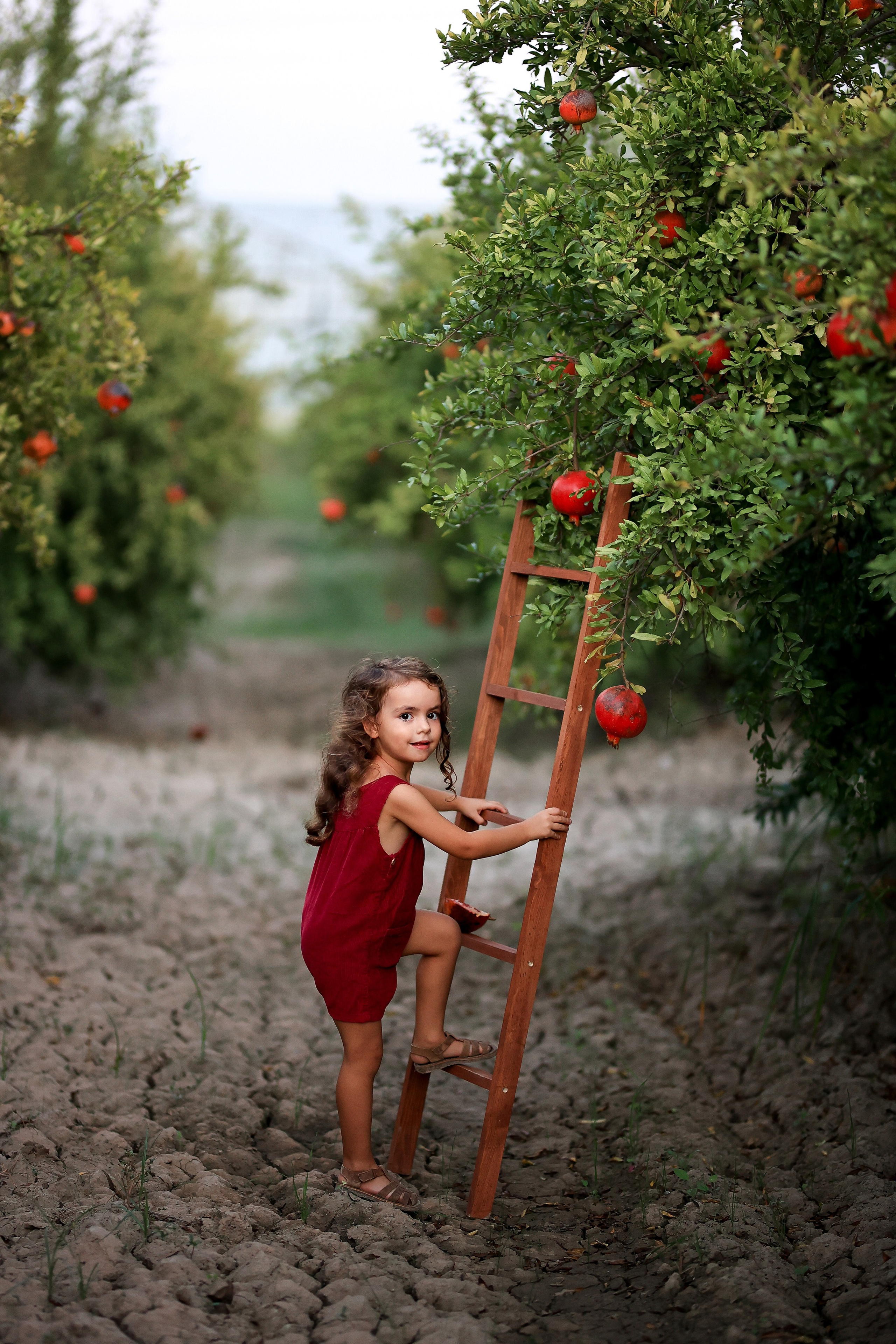Photoshooting in pomegranate garden. Photographer in Turkey, Antalya, Kemer, Belek, Side, Kas, Fethiye