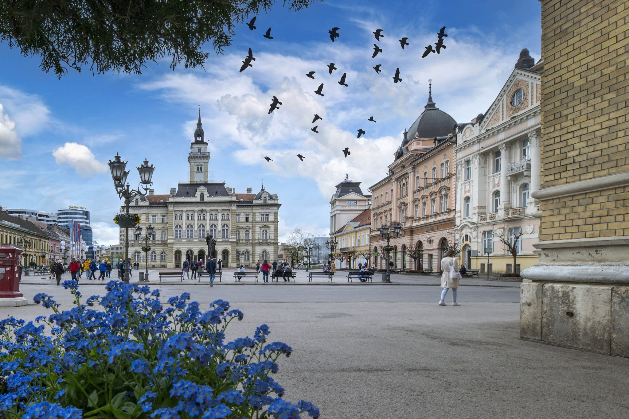Novi Sad, tri prazna mesta pa svi ostali gradovi.❤️. Aleksandar Milutinović fotograf iz Srbije, Novog Sada