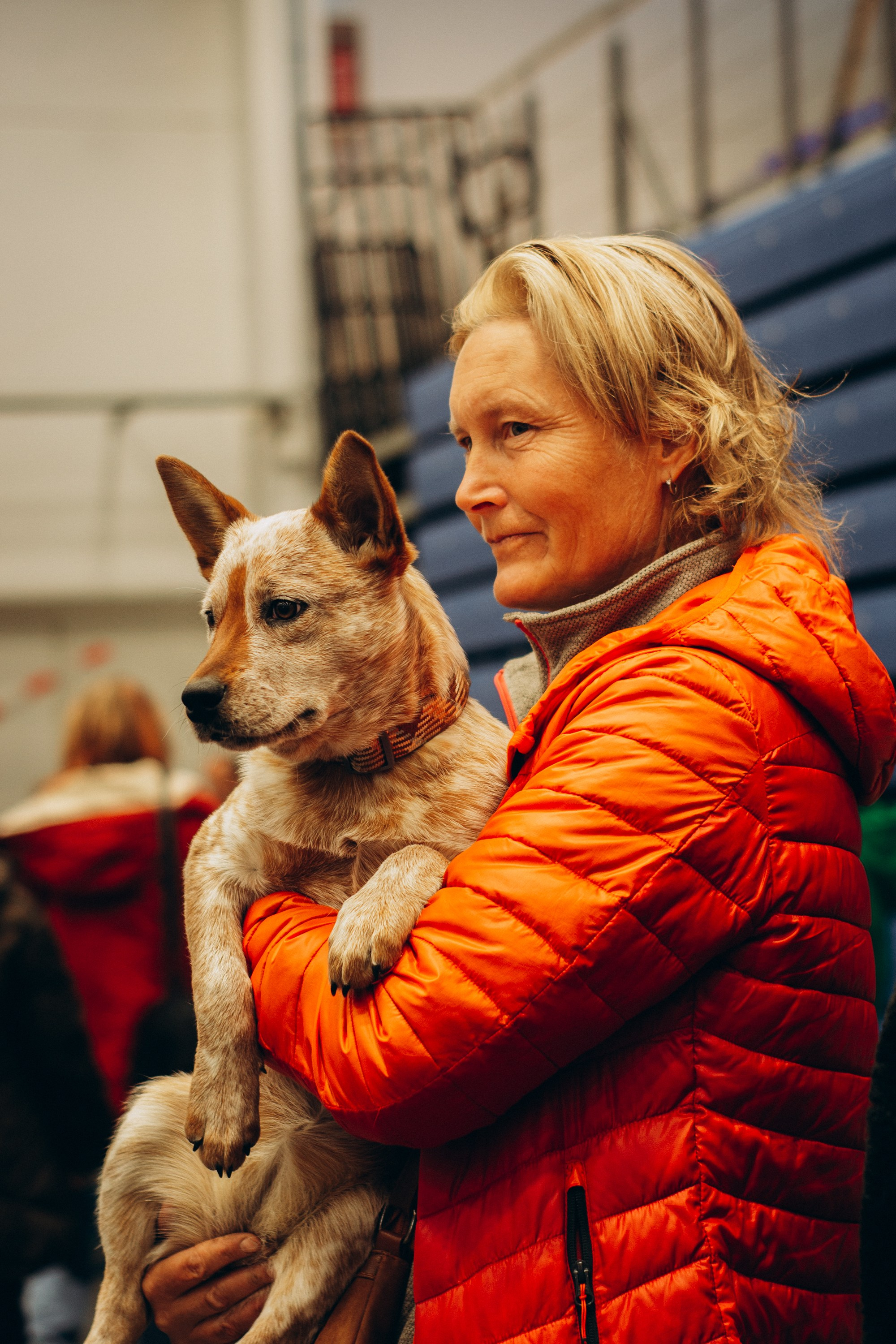 Rakvere Dog Show. Kat Laisaar — Pet photographer in Tallinn