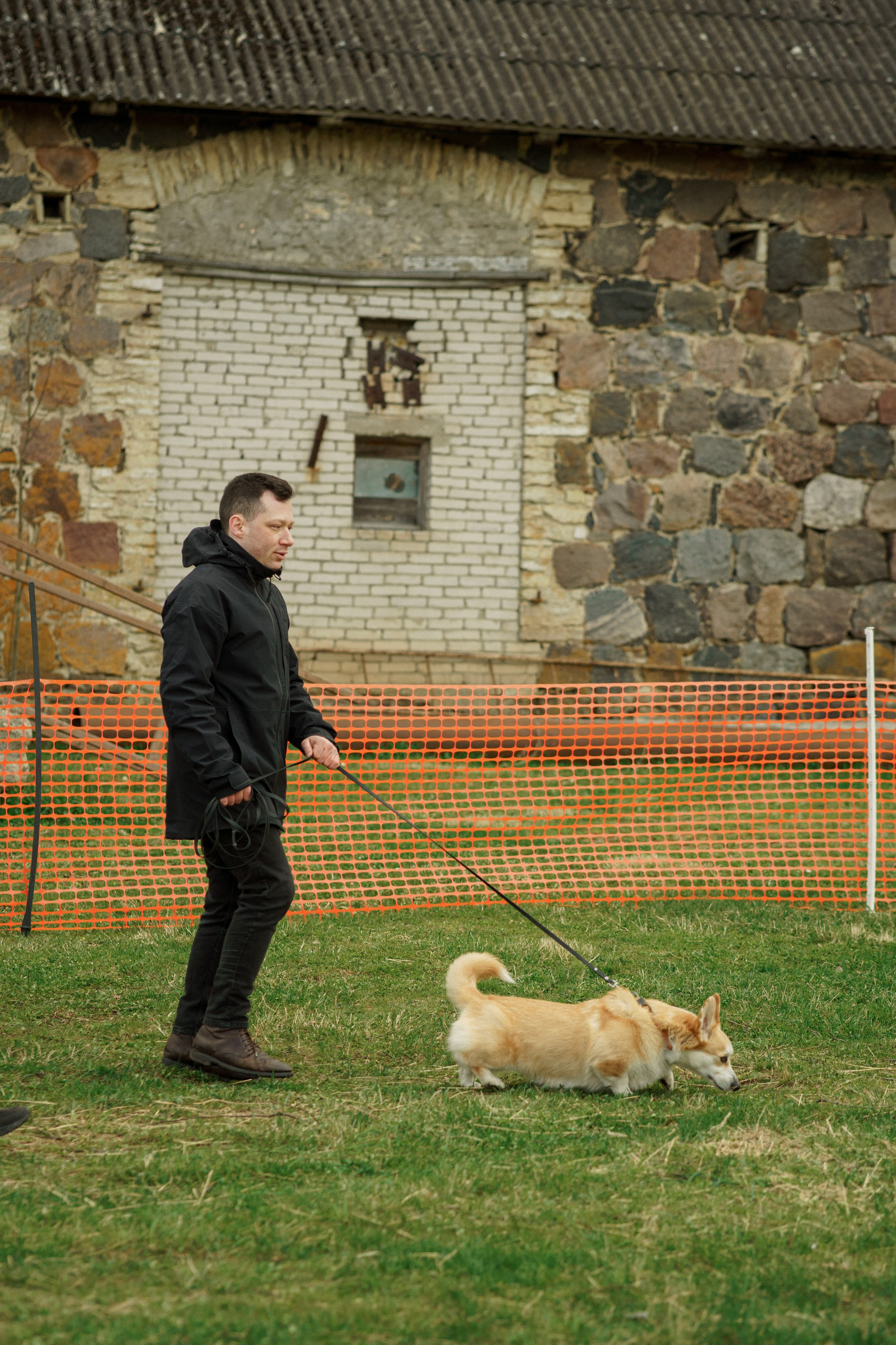 Herding Days, 26 apr. 2025. Kat Laisaar — Pet photographer in Tallinn