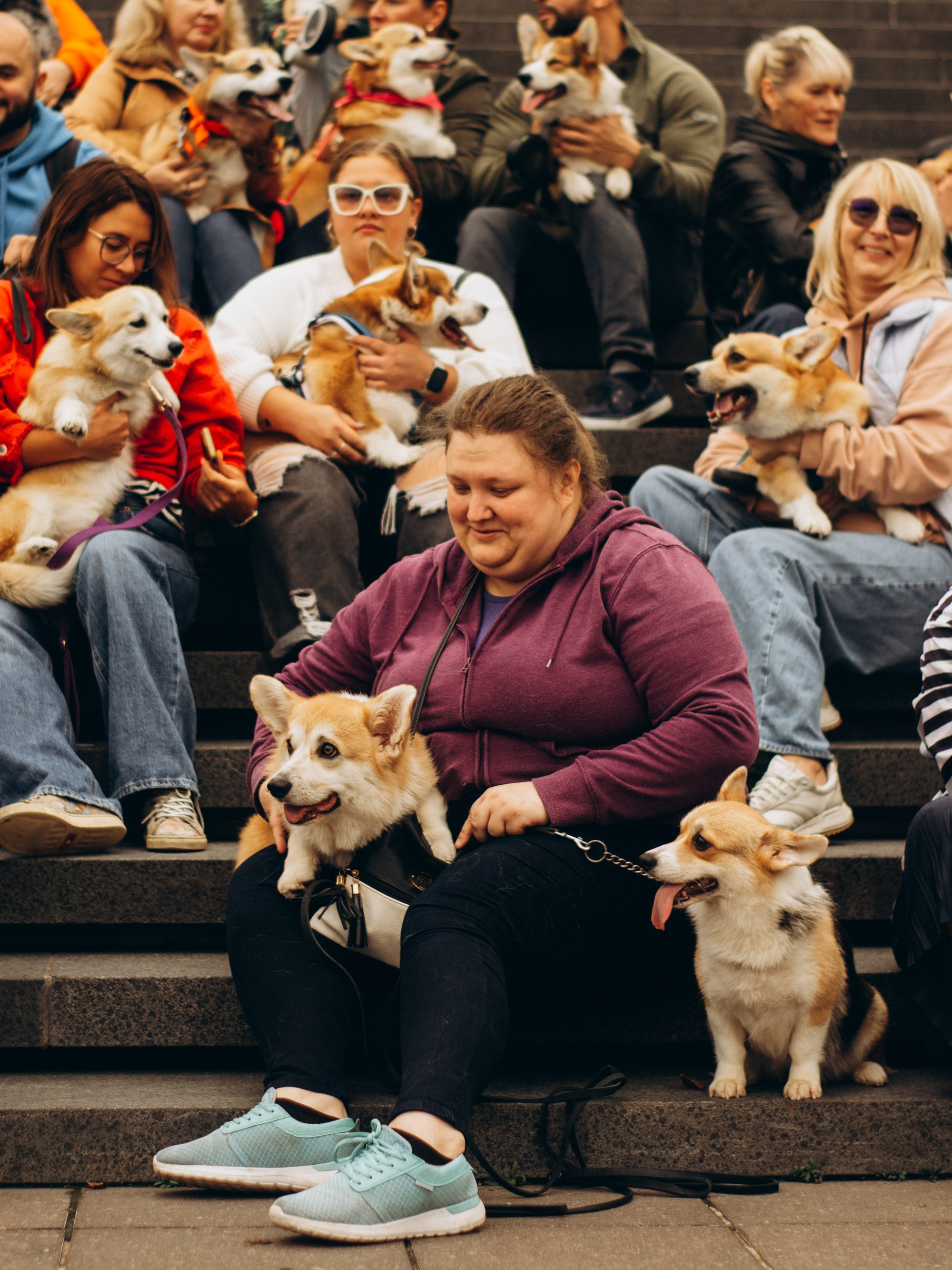 Corgi party, september. Kat Laisaar — Pet photographer in Tallinn