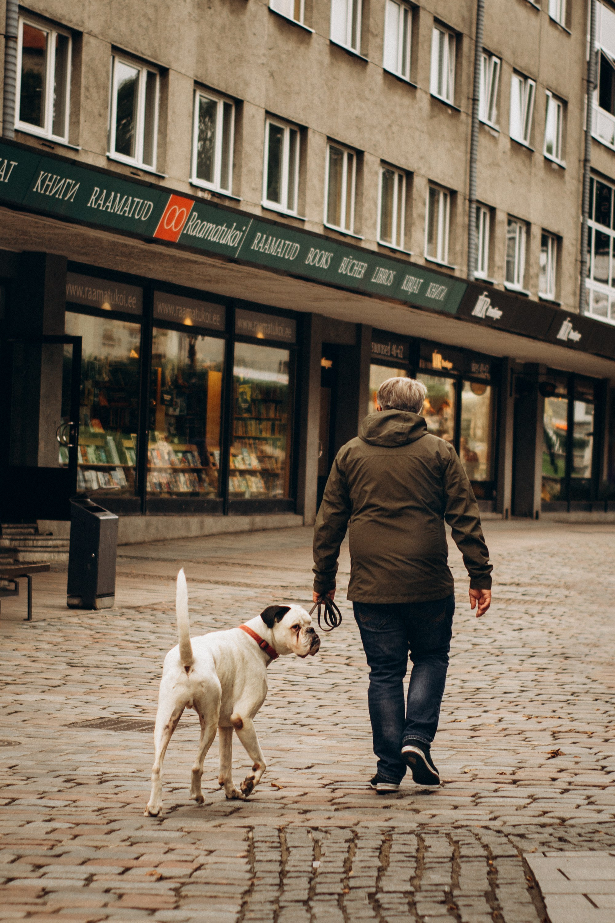 Dog Street Photography in Estonia. Kat Laisaar — Pet photographer in Tallinn