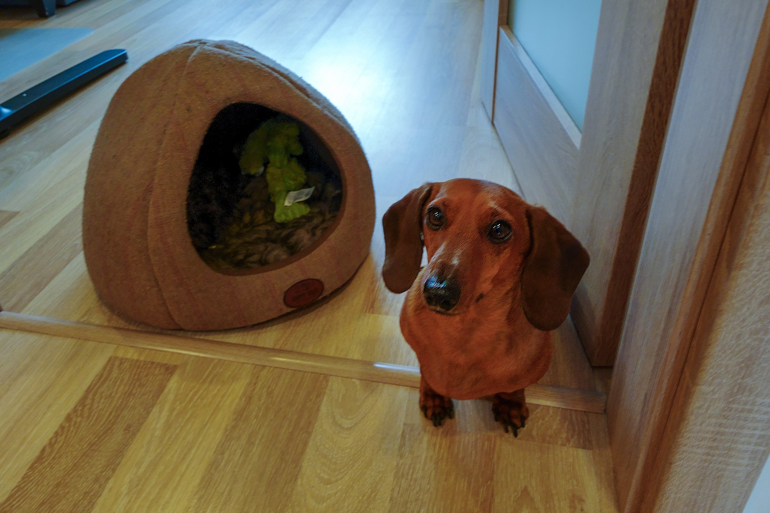 Tarandė. Elina Sapiega fotografė Vilniuje