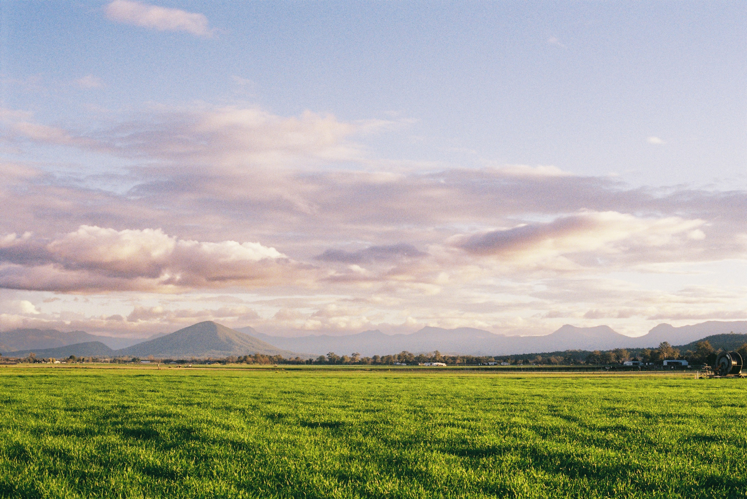 Milly&band. Film photographer