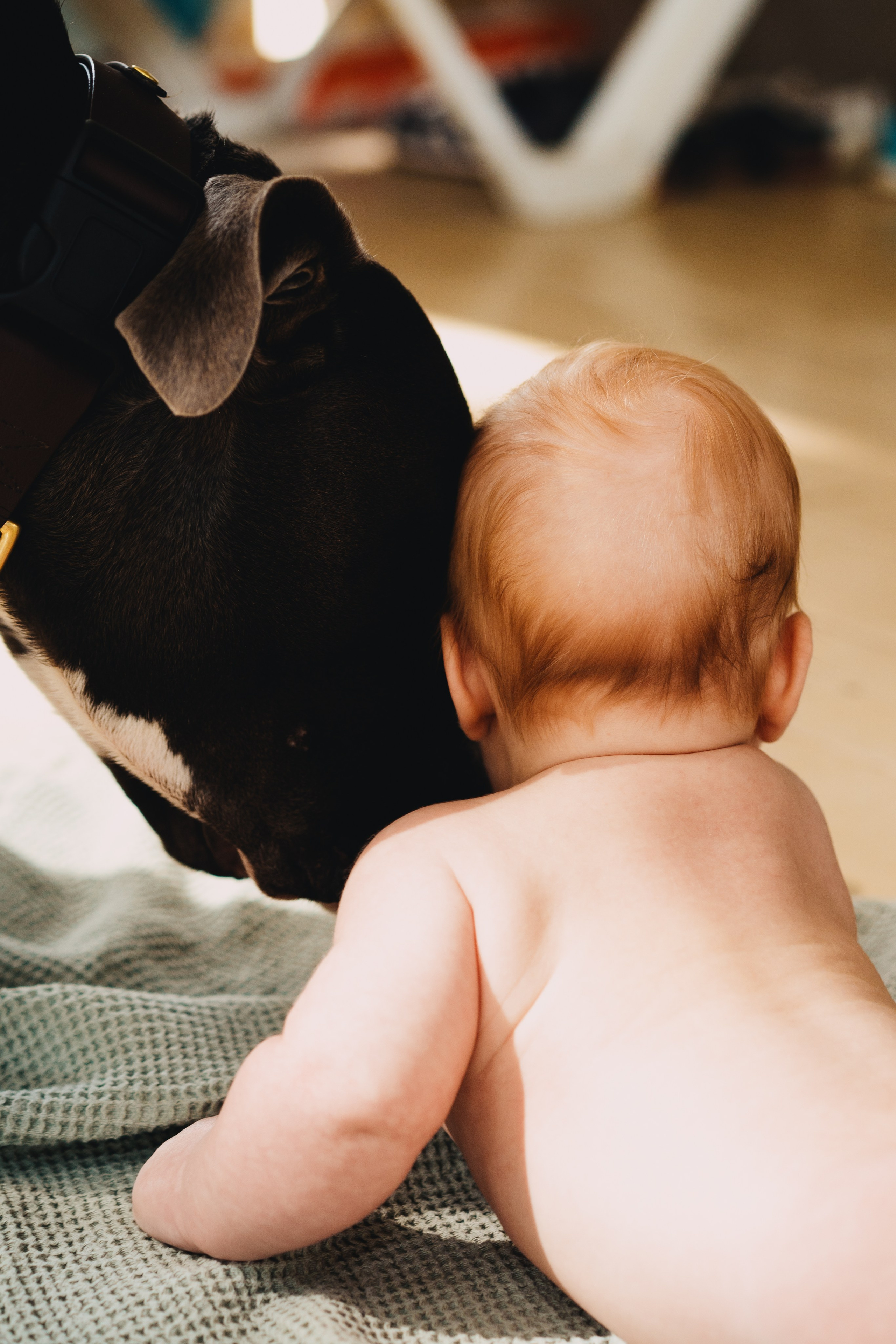 Baby. Elena Baturina Photography