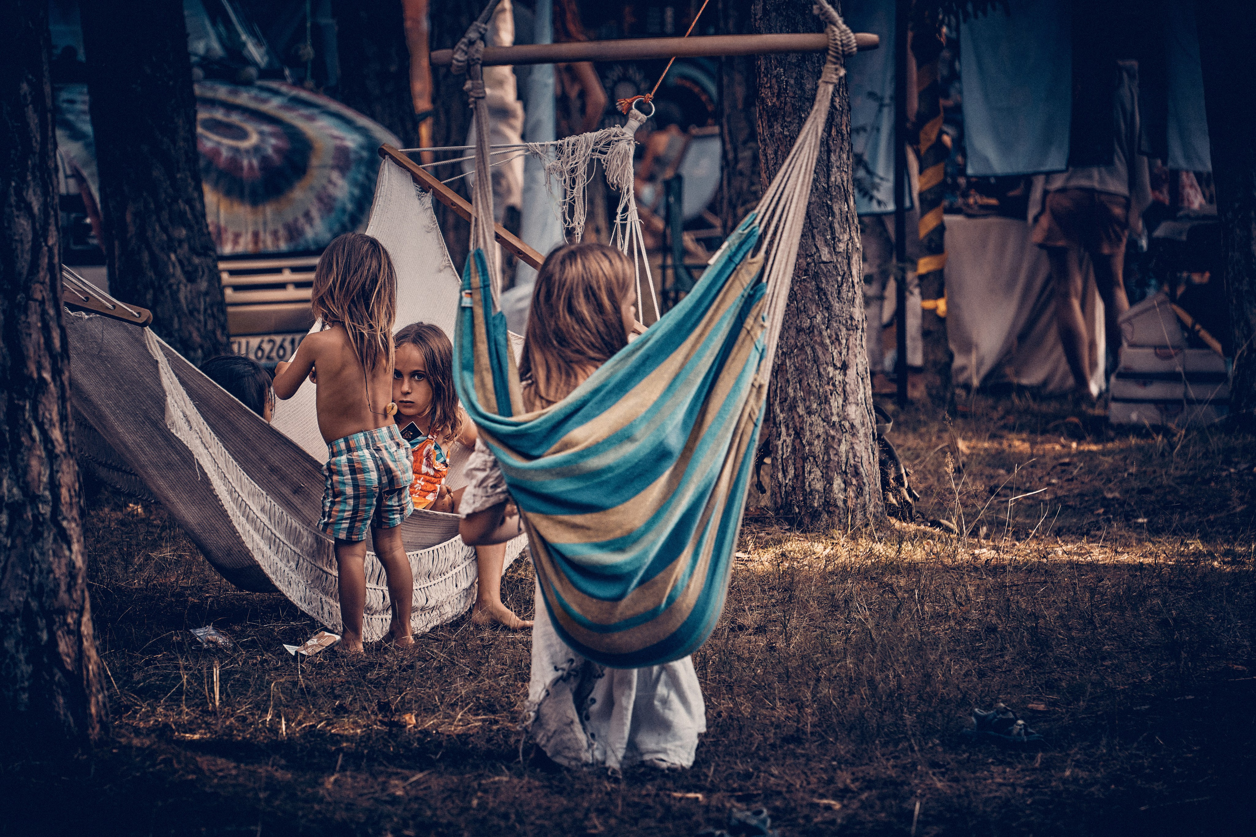 Organic Festival 2024. Андрей Шипилов — Фотография & Видеография