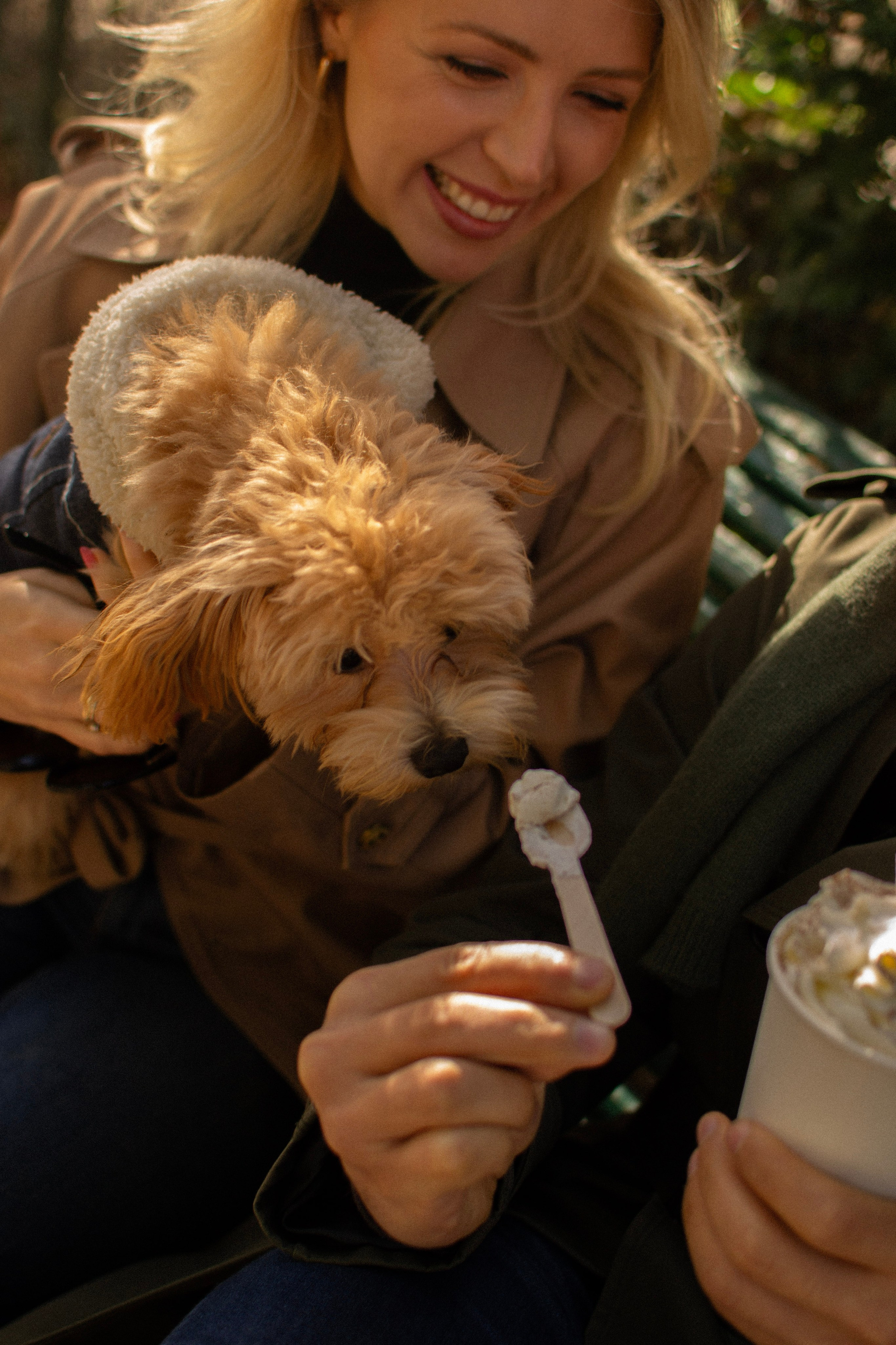 Barney, Nastya et Kolya. Photographe animalier à Paris Anna Pereira