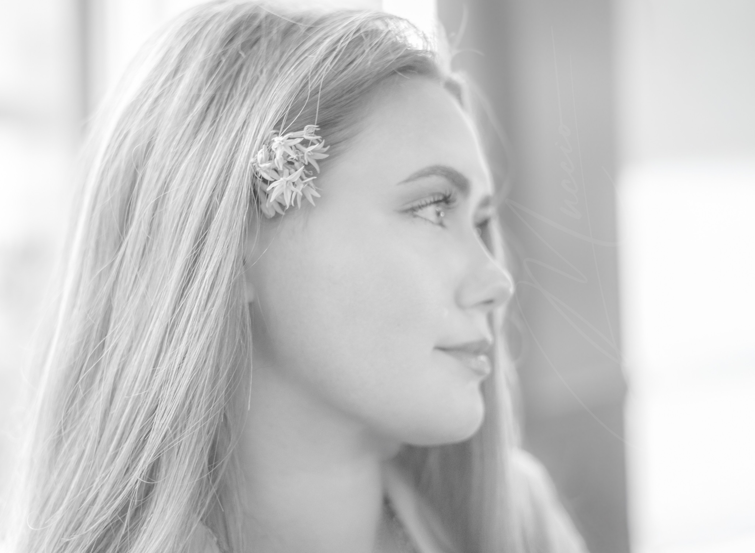 Black and White. Out and About 239