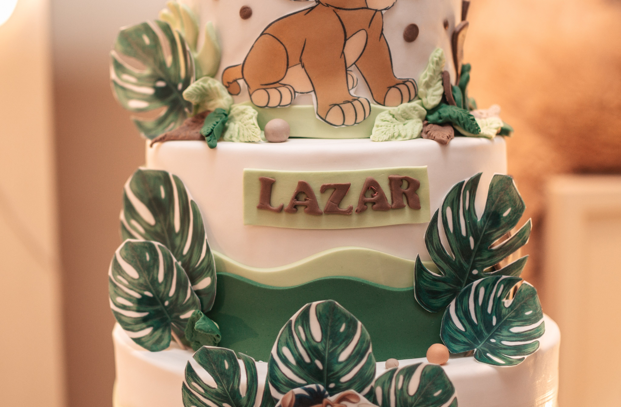 Lazar, krštenje i rođendan. BambinaaPhotography