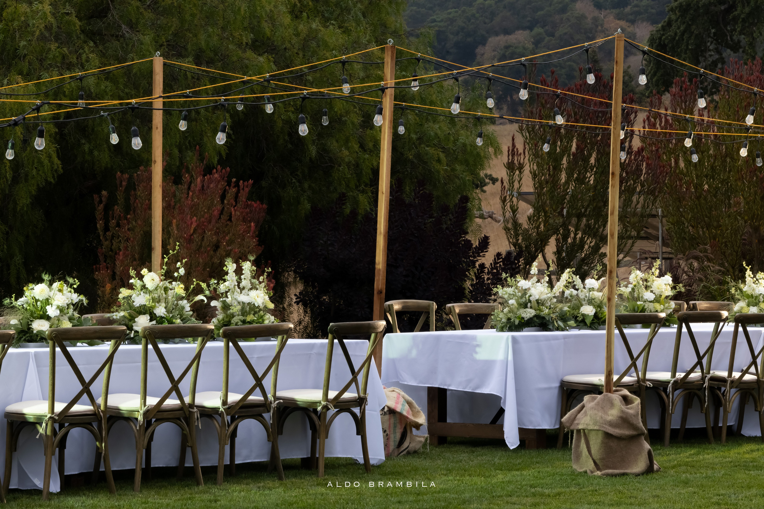 Fotografia de Bodas. Aldo Brambila fotografo de eventos y sociales