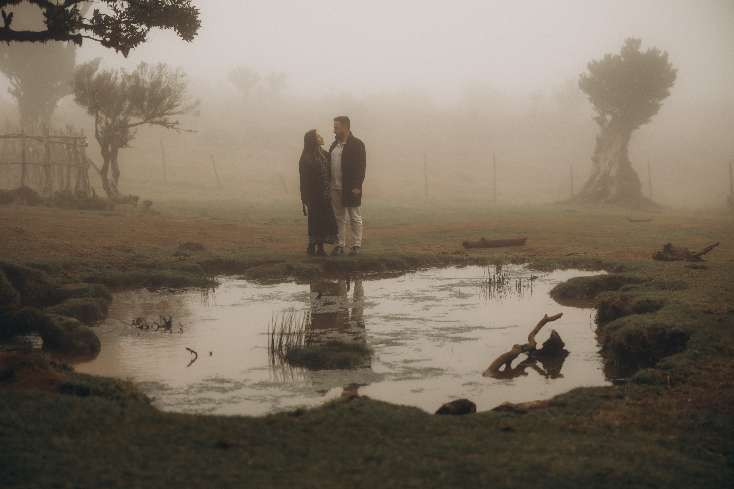 Couple photoshoot in Fanal Forest Madeira PortugalA romantic couple standing amidst the ancient laurel trees of Fanal Forest, Madeira, surrounded by a mystical fog that adds an ethereal touch to the scene