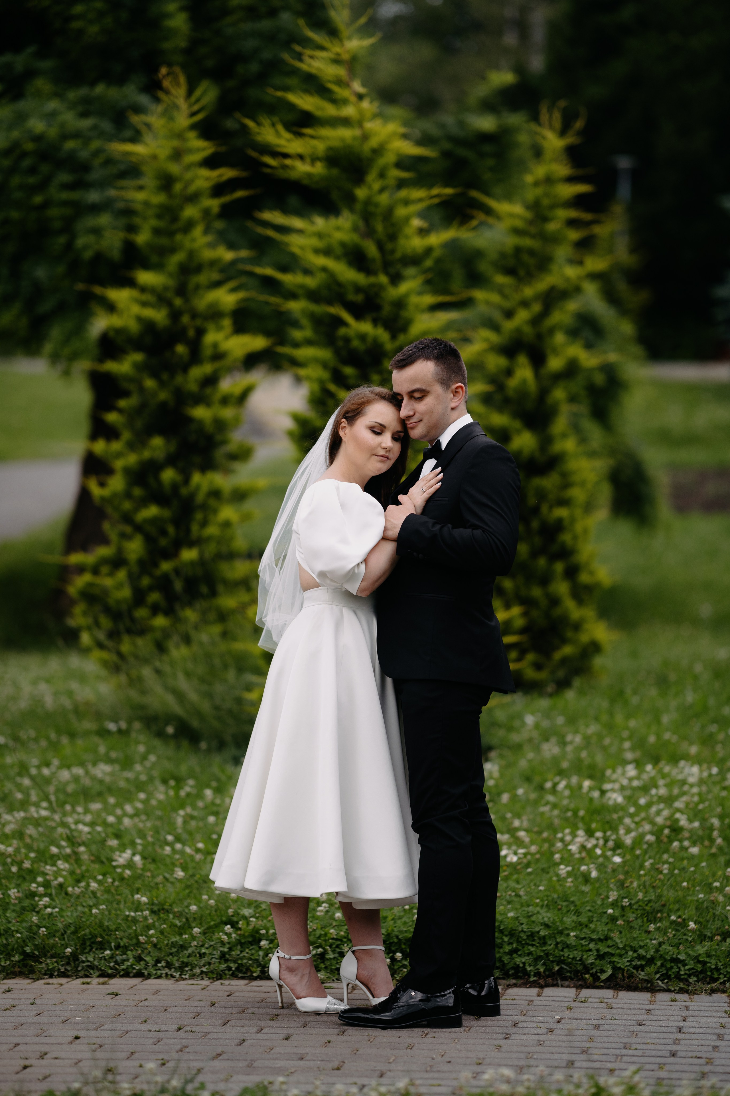 Stefan & Dorotea. NSJ — Wedding Studio