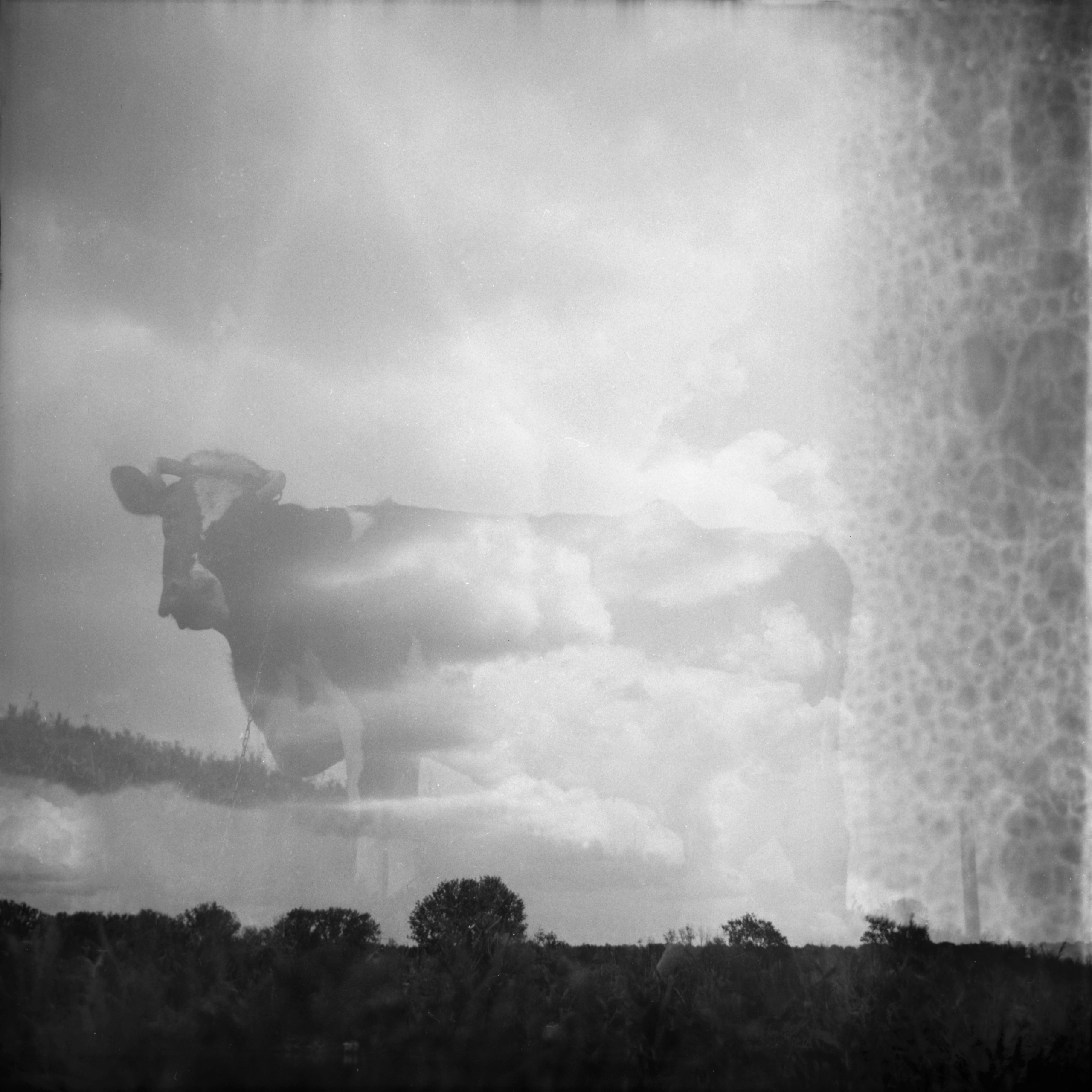 Tender Infinite Souls. Natalia Parfenova visual artist film photographer