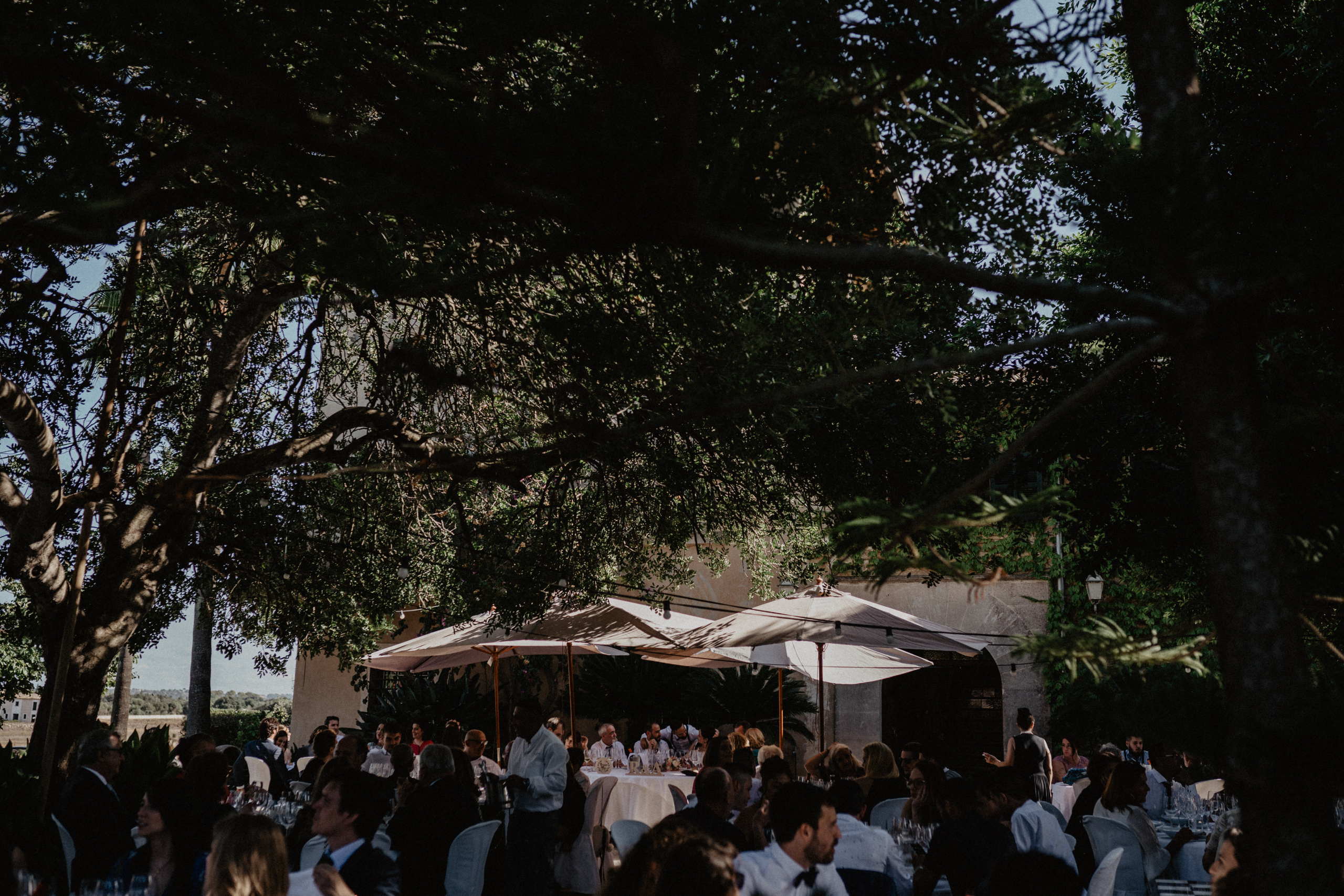 ANA & ROMÁN. Mauricio Alcibar – Fotógrafo de bodas y familias en Palma de Mallorca