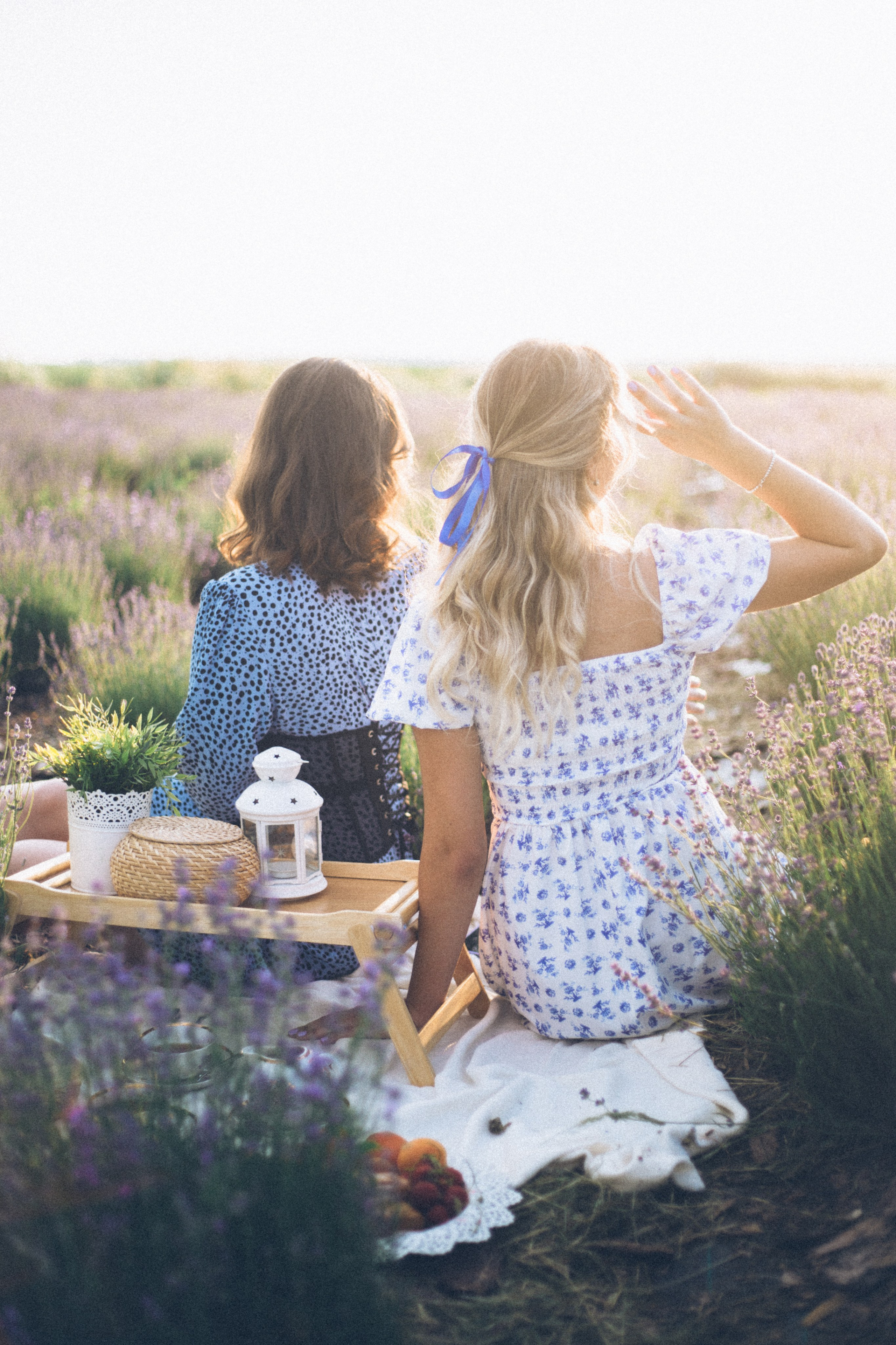 Lavender field. Photographer Anna Curly | Weddings and Events in Dubai