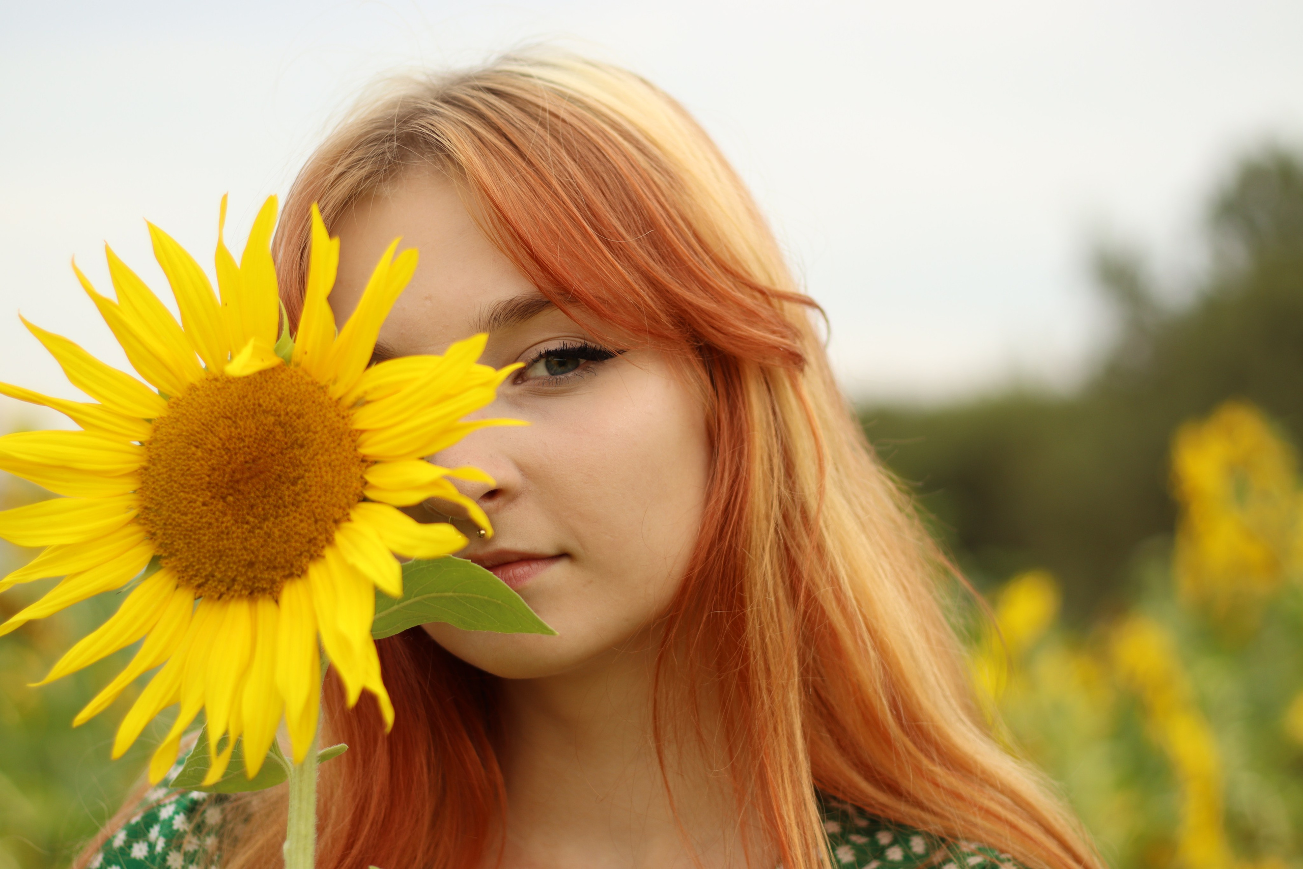 Фотосессия в подсолнухах. Фотограф / Даугавпилс / Ольга Антонова