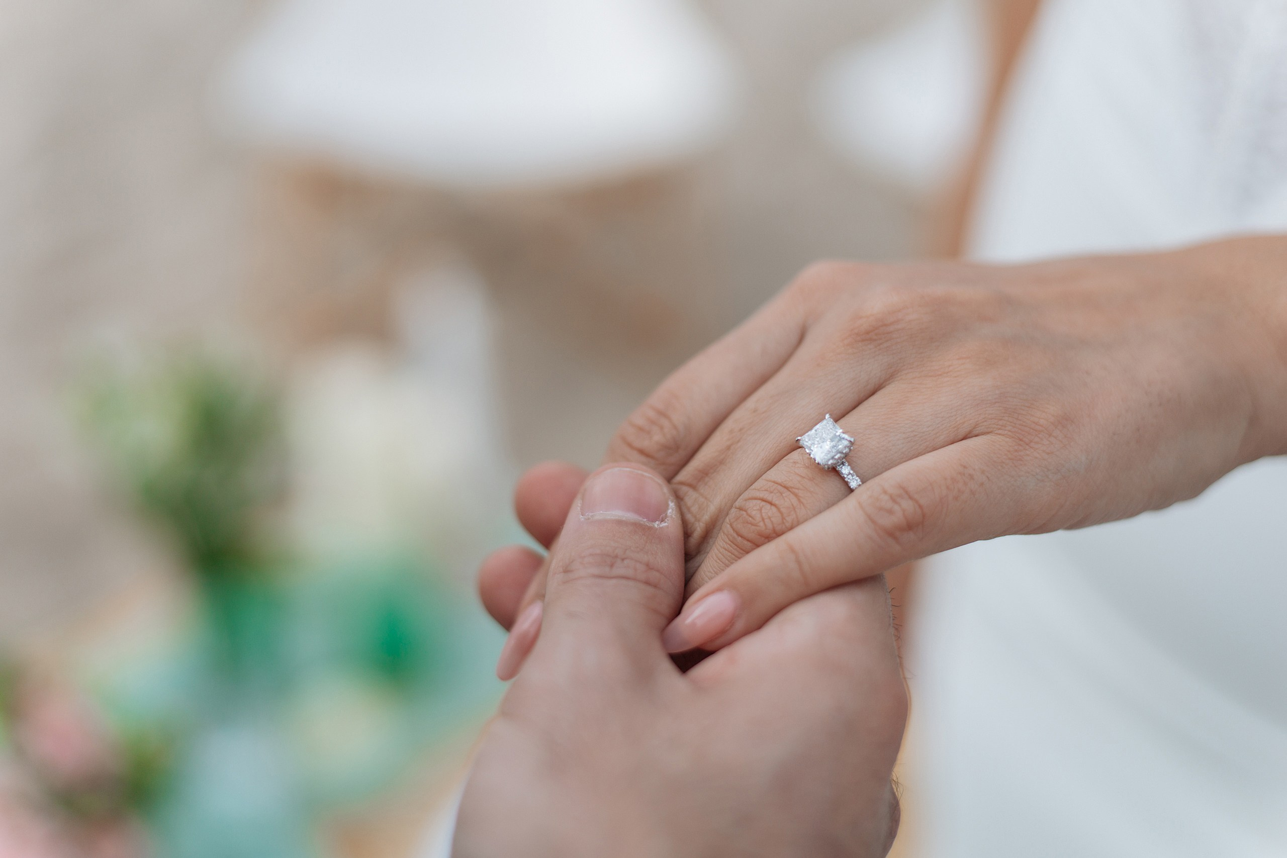 Proposal in the Malibu. Main