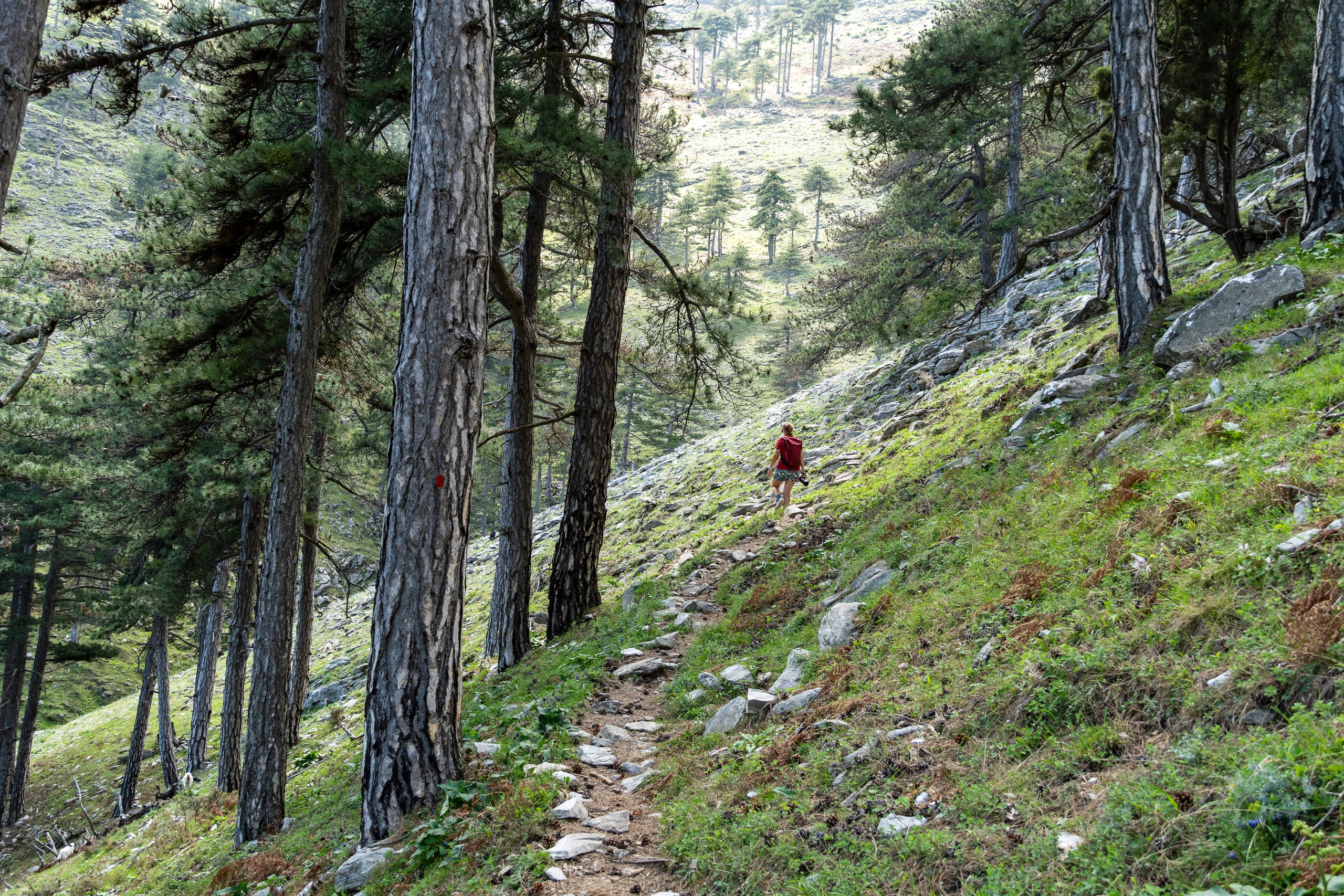 Thasos 2025. Fotografiideplacere.net