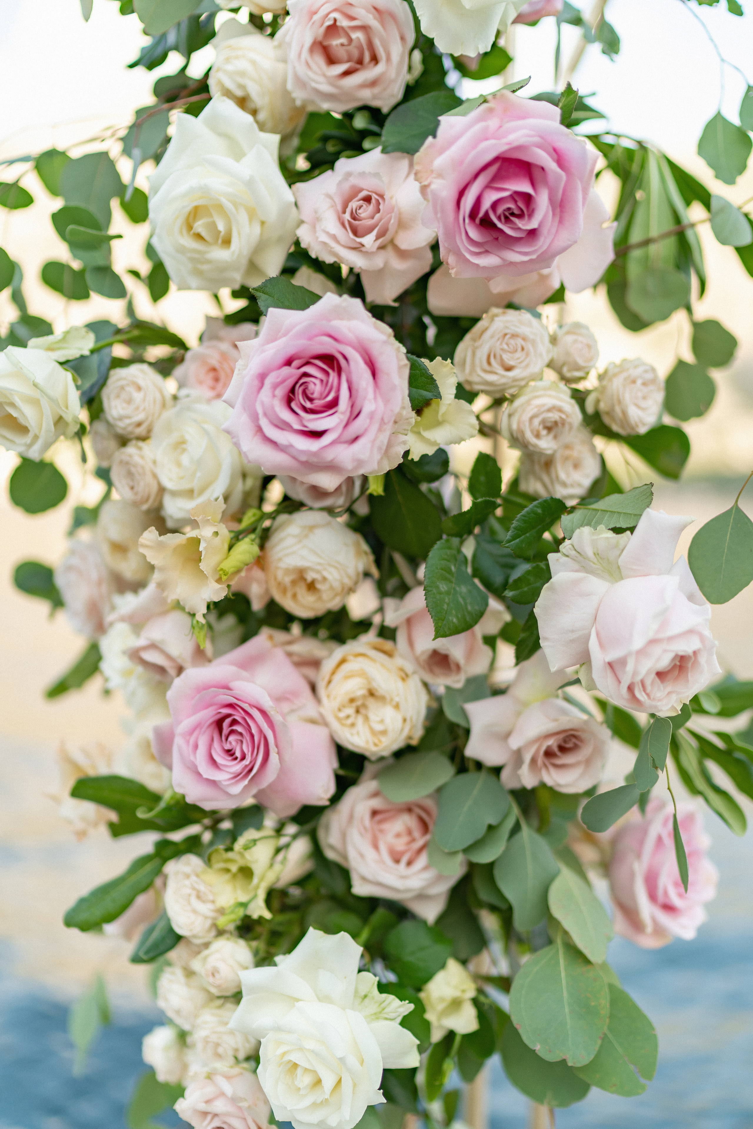 Igor ve Veronika'nın Kotor, Karadağ'da düğünü