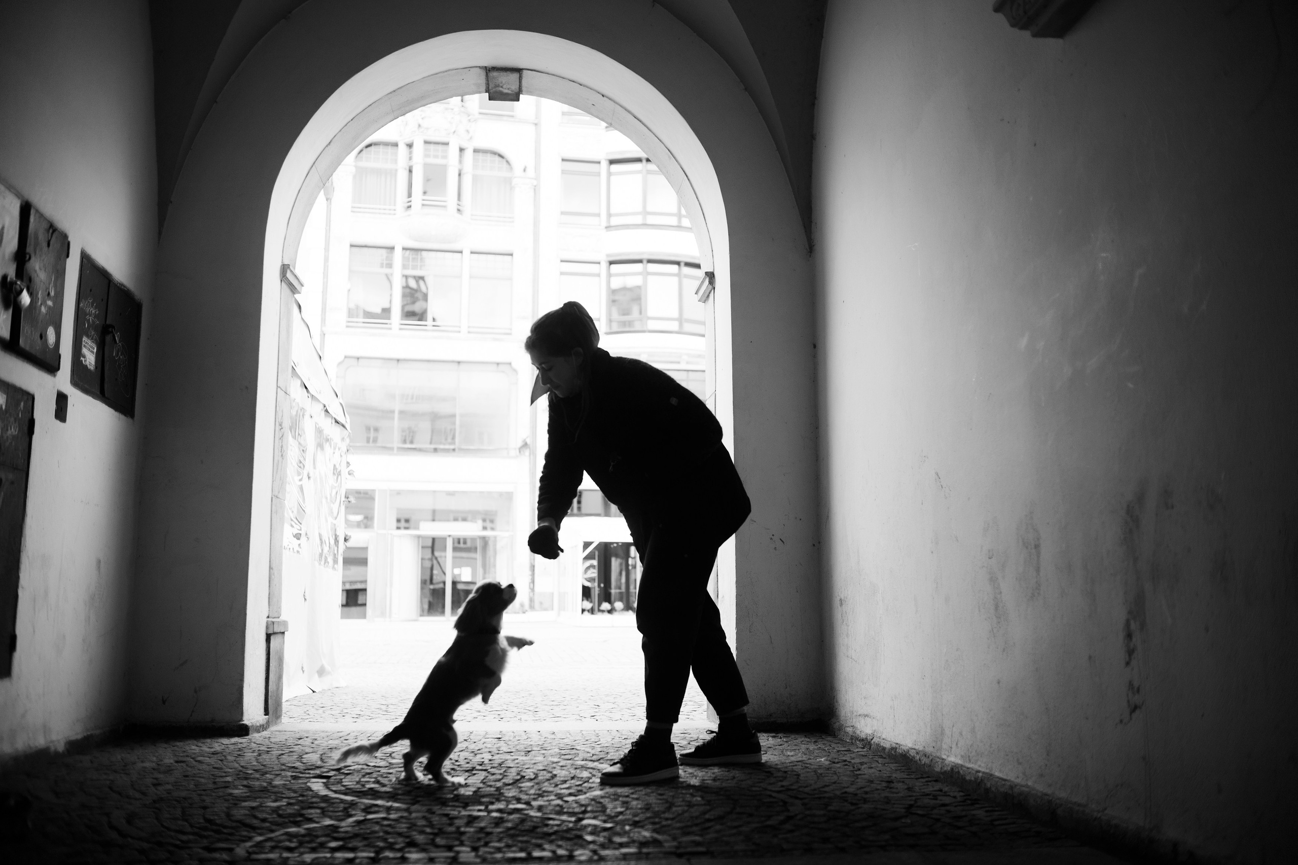 Uliana i Franklin. Kaja | fotograf we Wrocławiu | ludzie i psy