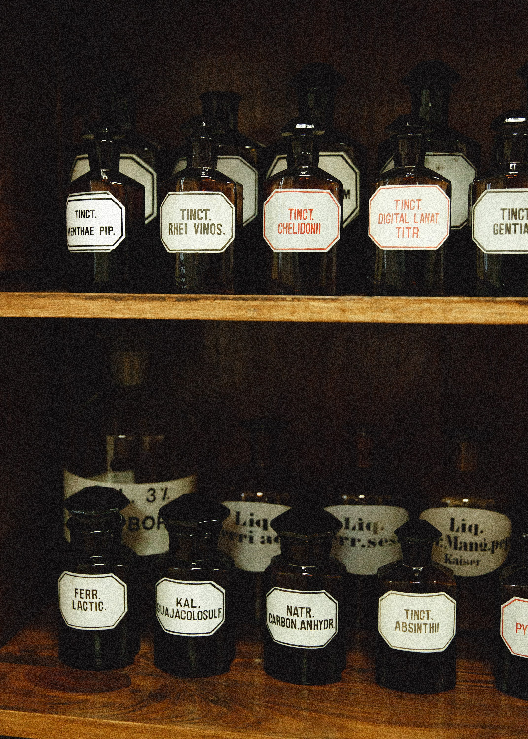 Museum of farmacy in Wroclaw. Kaja | fotograf we Wrocławiu | ludzie i psy