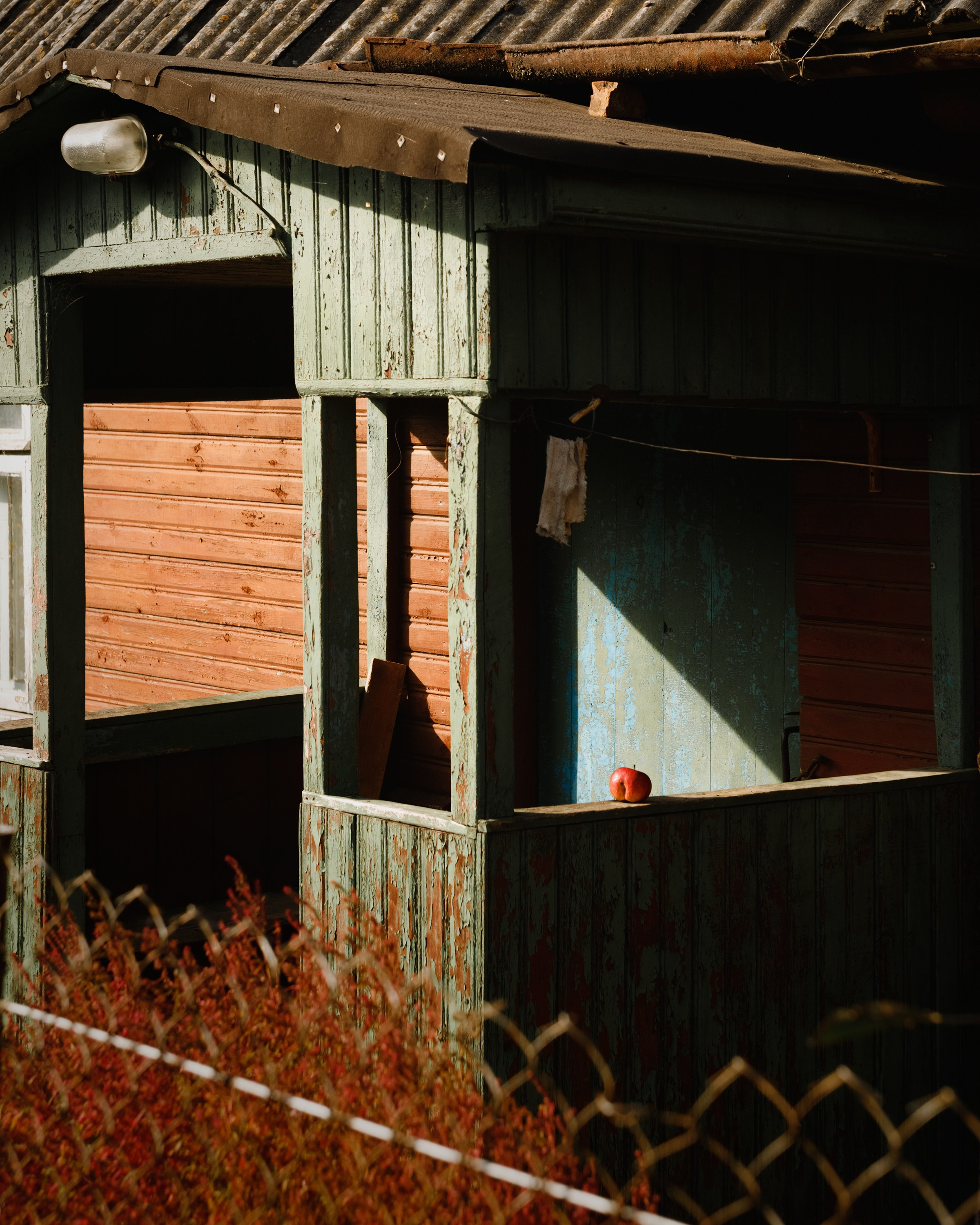 One small village in Grodno region. Kaja | fotograf we Wrocławiu | ludzie i psy