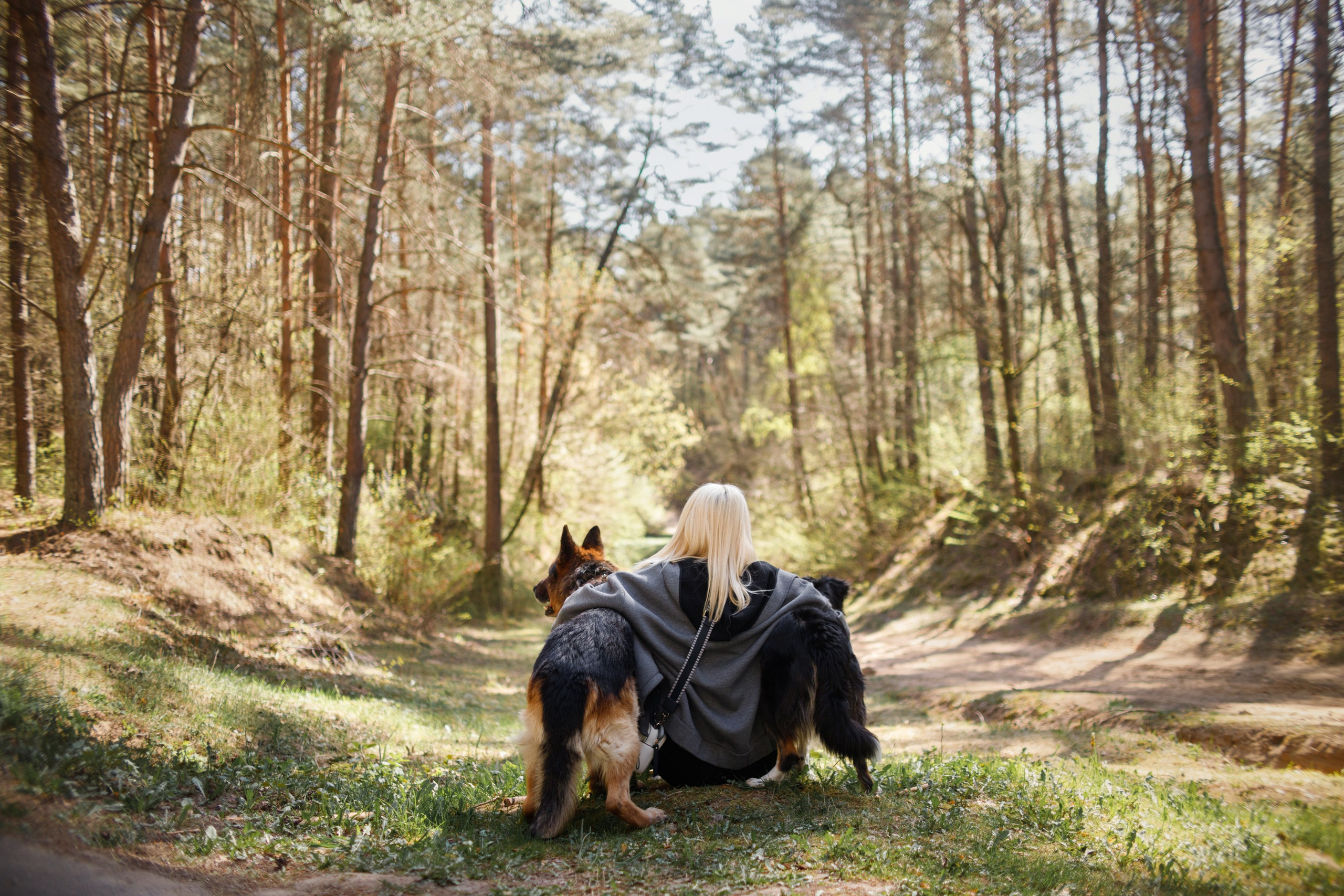 Dog trainer blog content. Kaja | fotograf we Wrocławiu | ludzie i psy