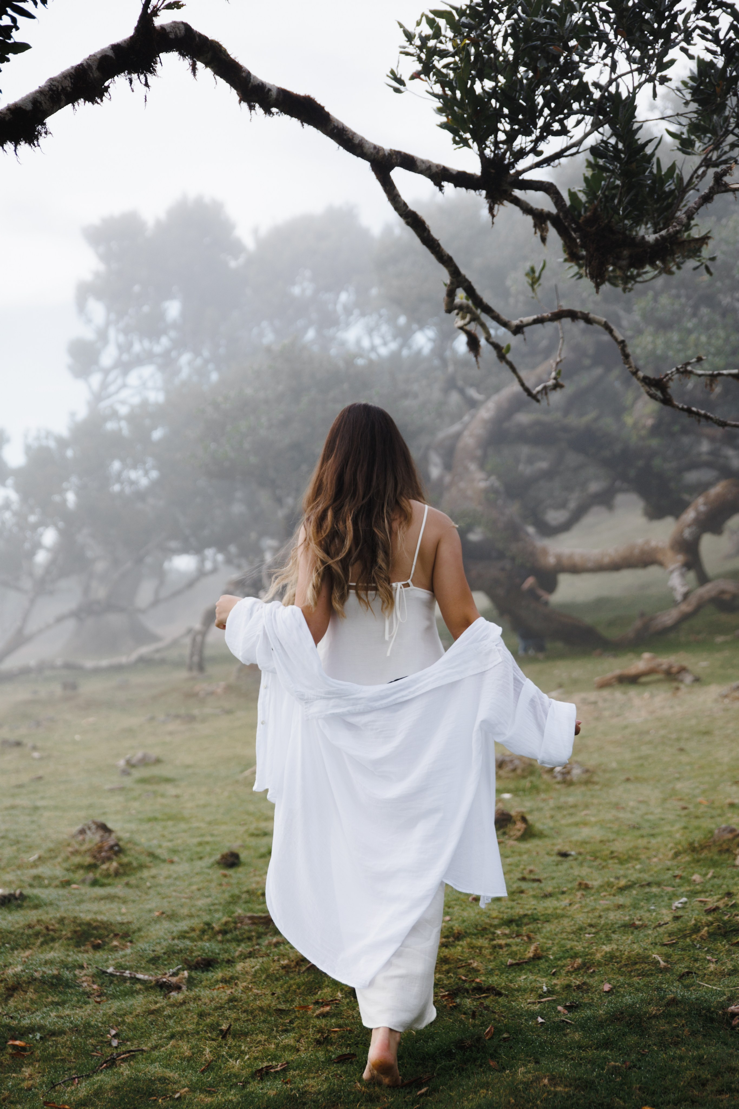 Lost in Madeira. Patricia Morenci — Mountain Adventures for the Wild at Heart