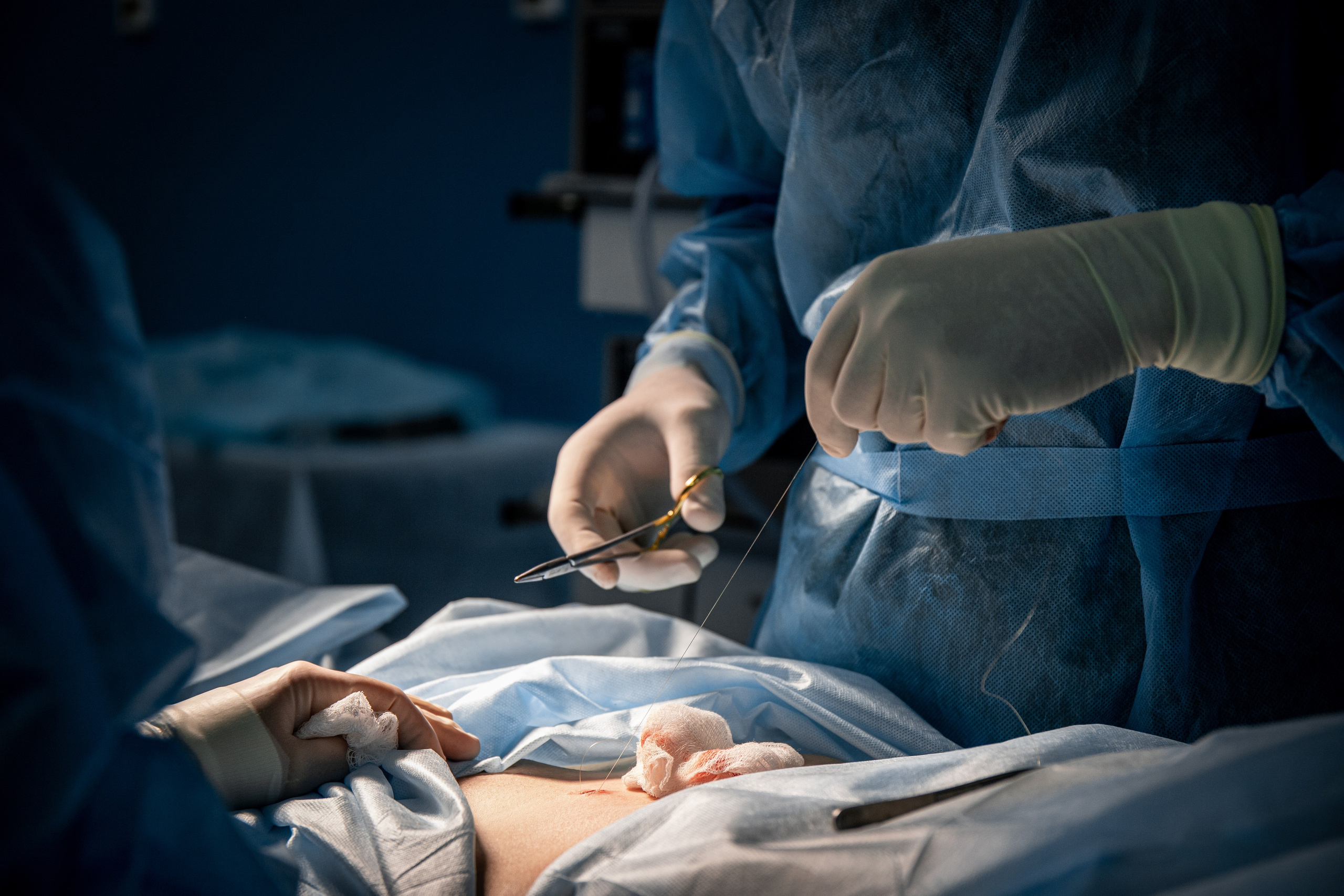 Business. Portrait and family photographer in Fort Collins Dania Gaisina